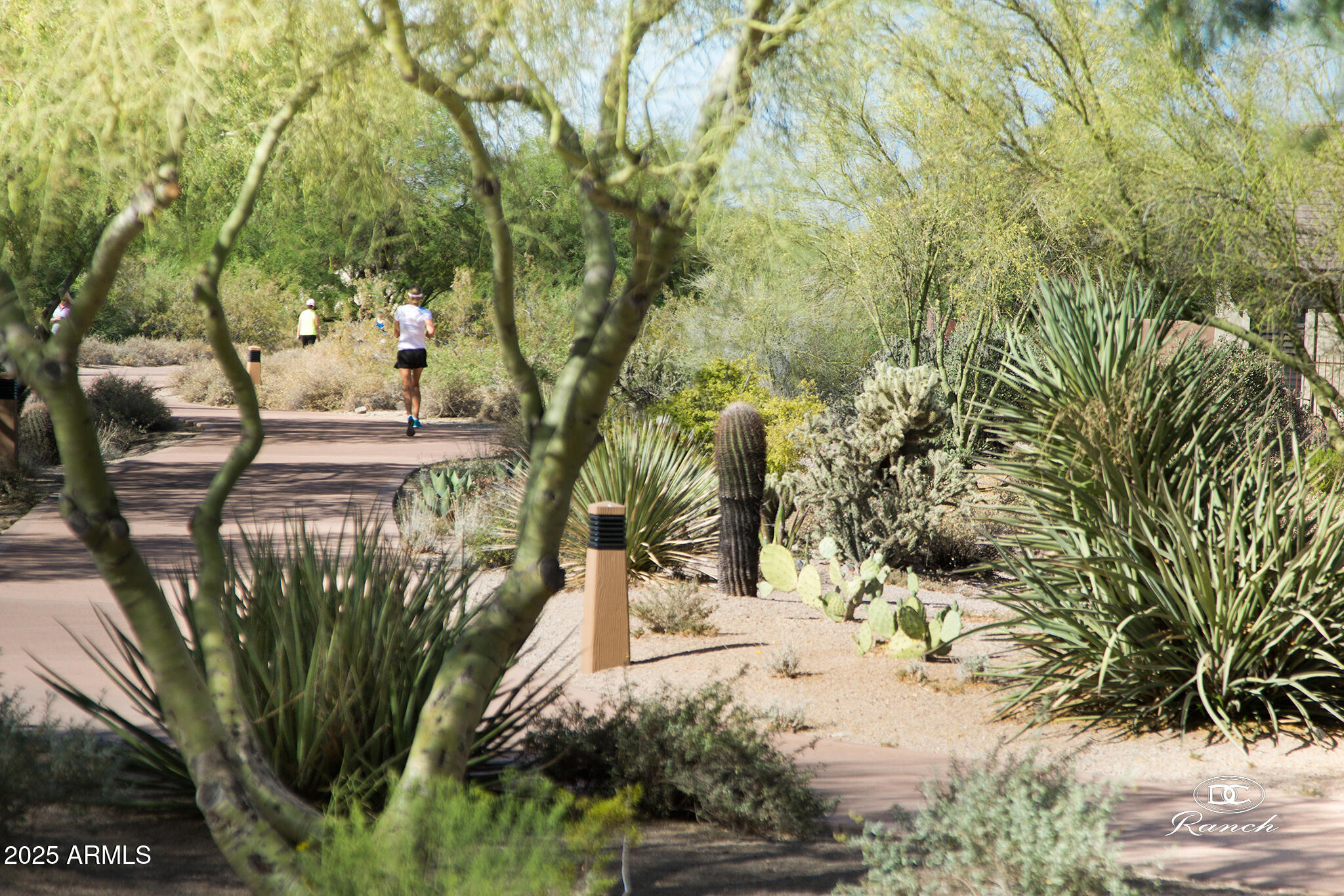 9220 E DESERT PARK Drive, Scottsdale