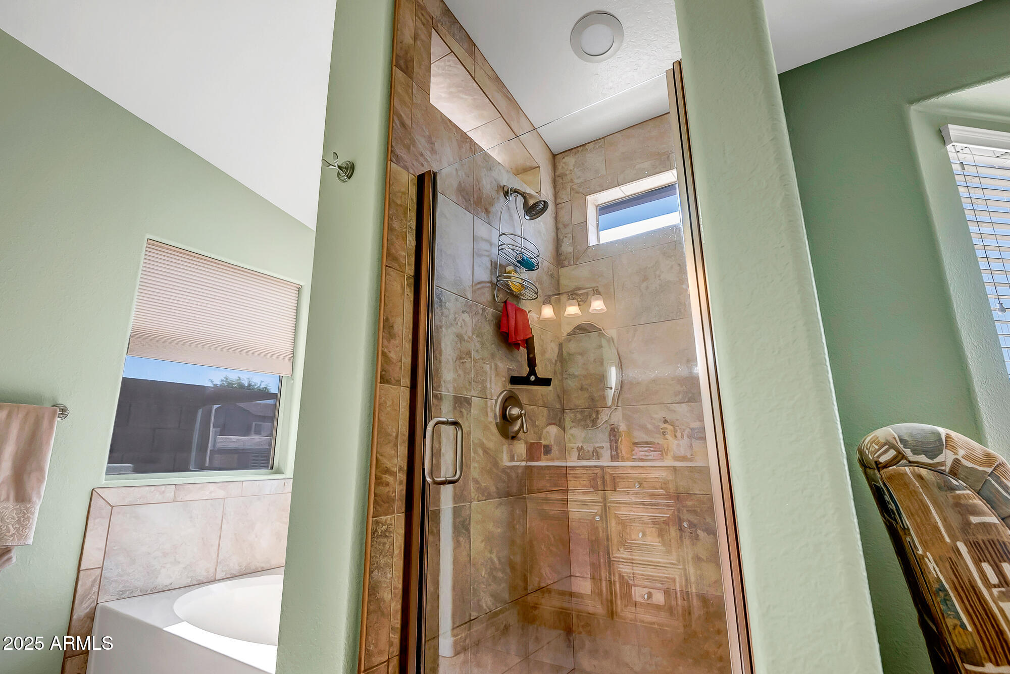 13239 W TARA Lane, Surprise