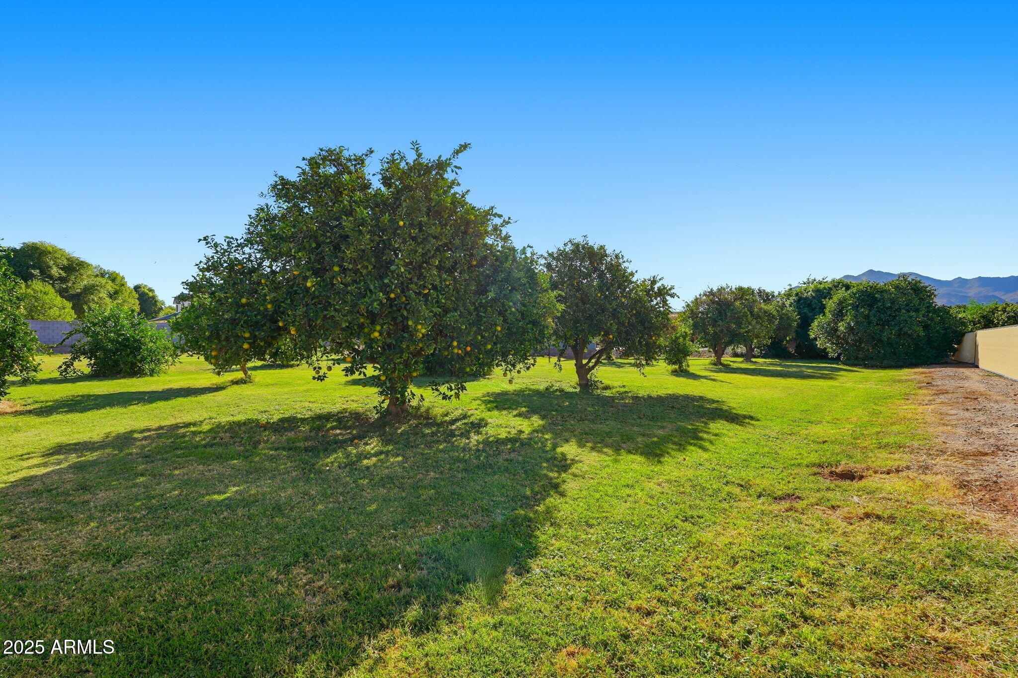 17244 E CHESTNUT Drive