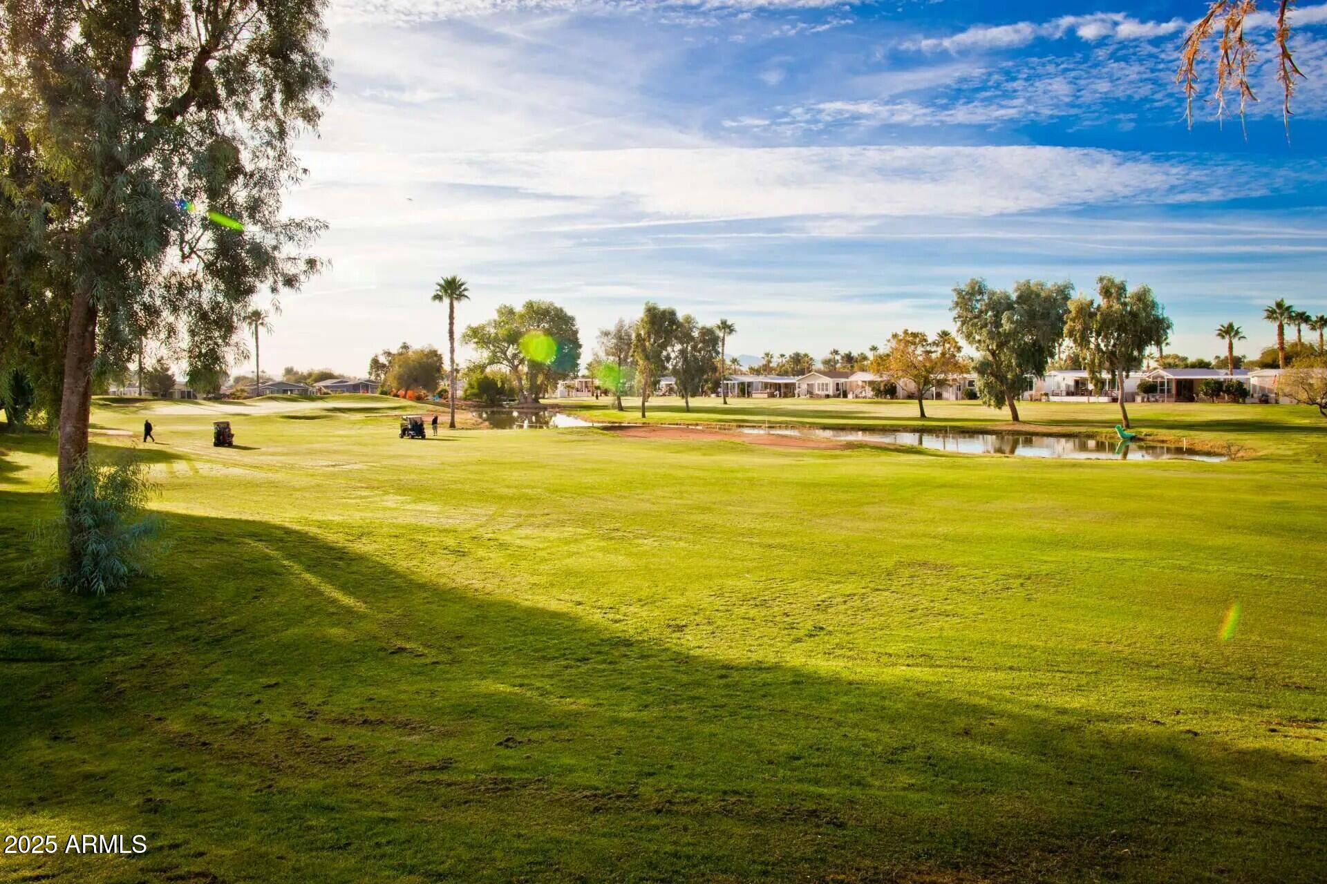 11201 N EL MIRAGE Road Unit: 98