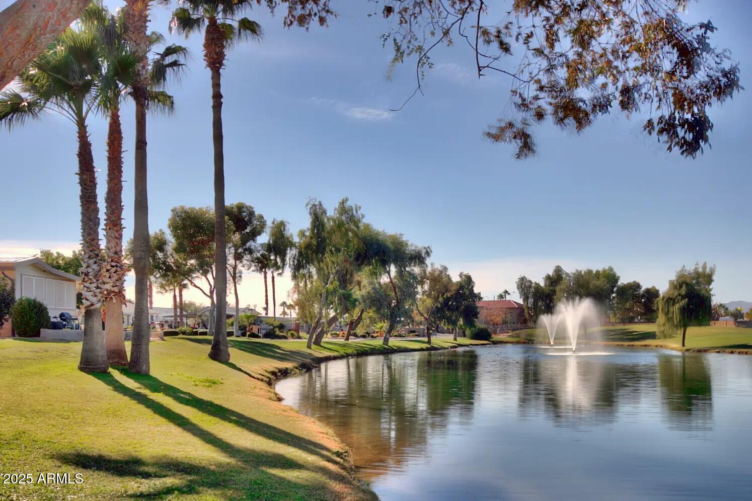 11201 N EL MIRAGE Road Unit: 98