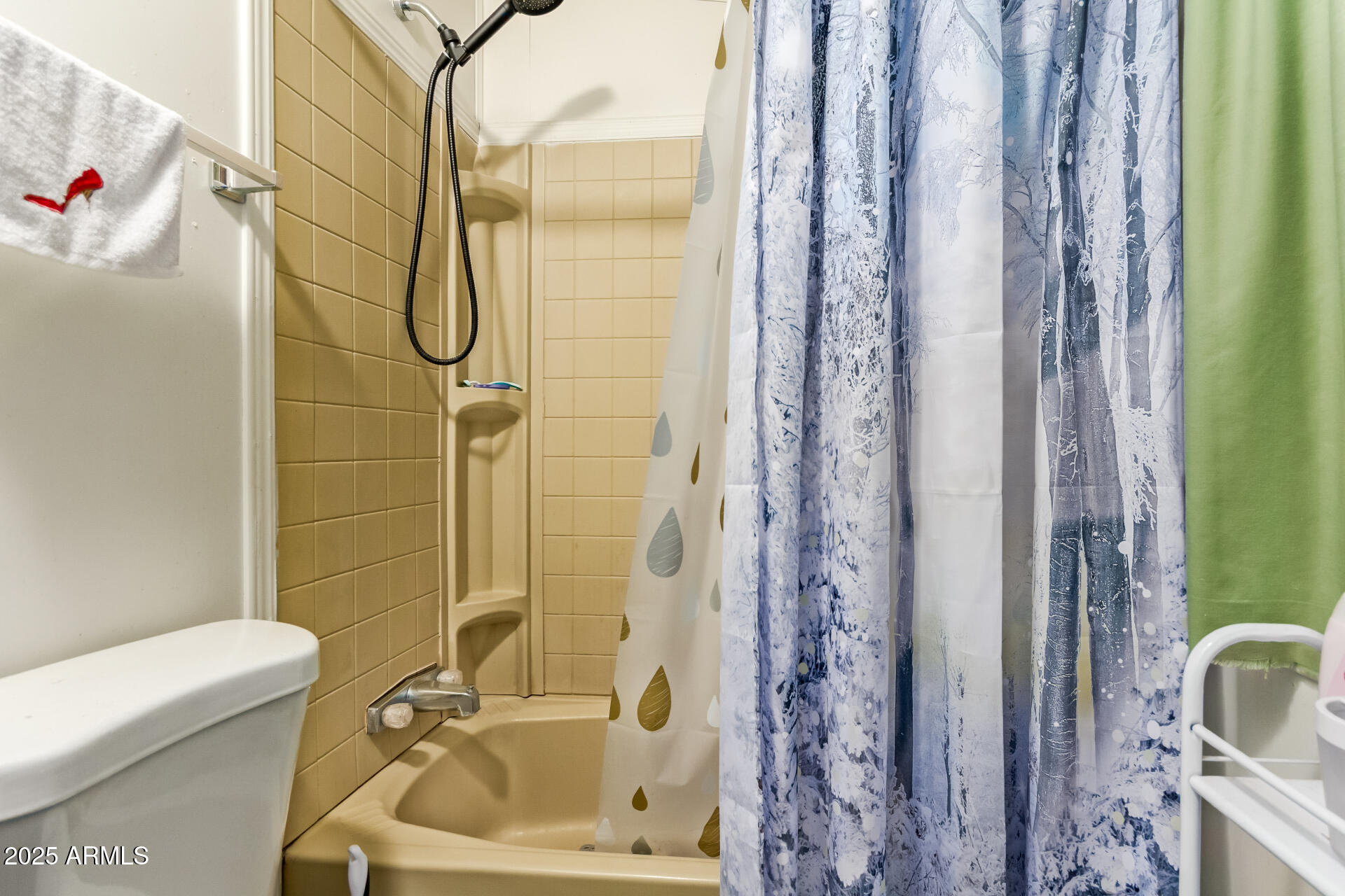 8301 N 103RD Avenue 203