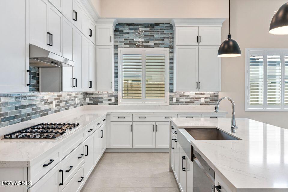 21387 W MEADOWBROOK Avenue