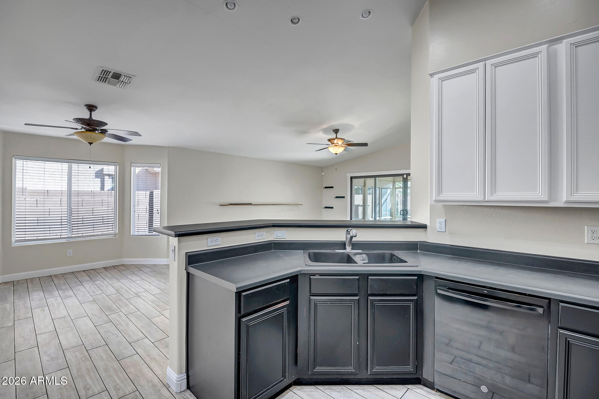 16873 W MESQUITE Drive