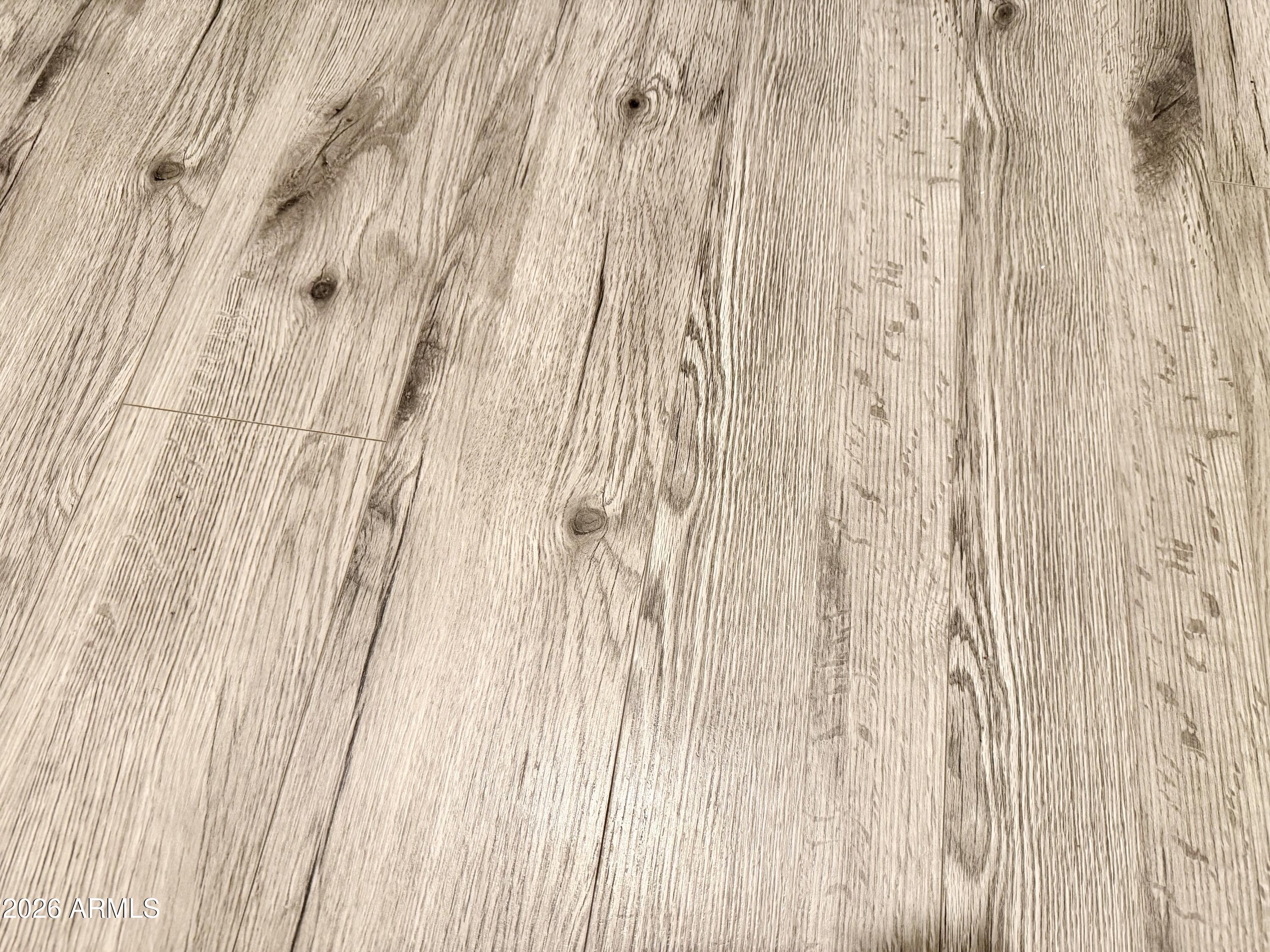 1553 E ELEGANTE Drive