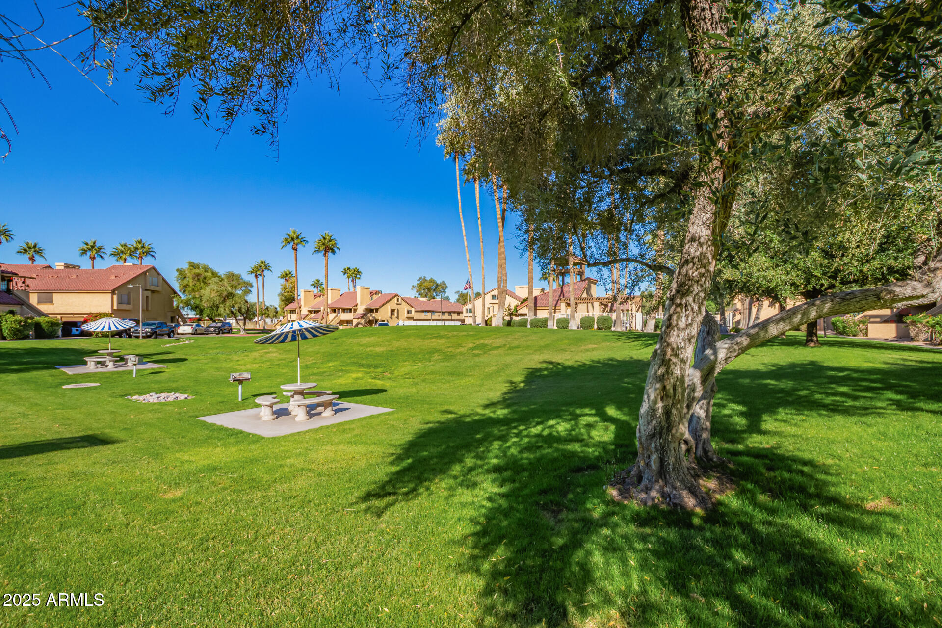 4901 S CALLE LOS CERROS Drive 202