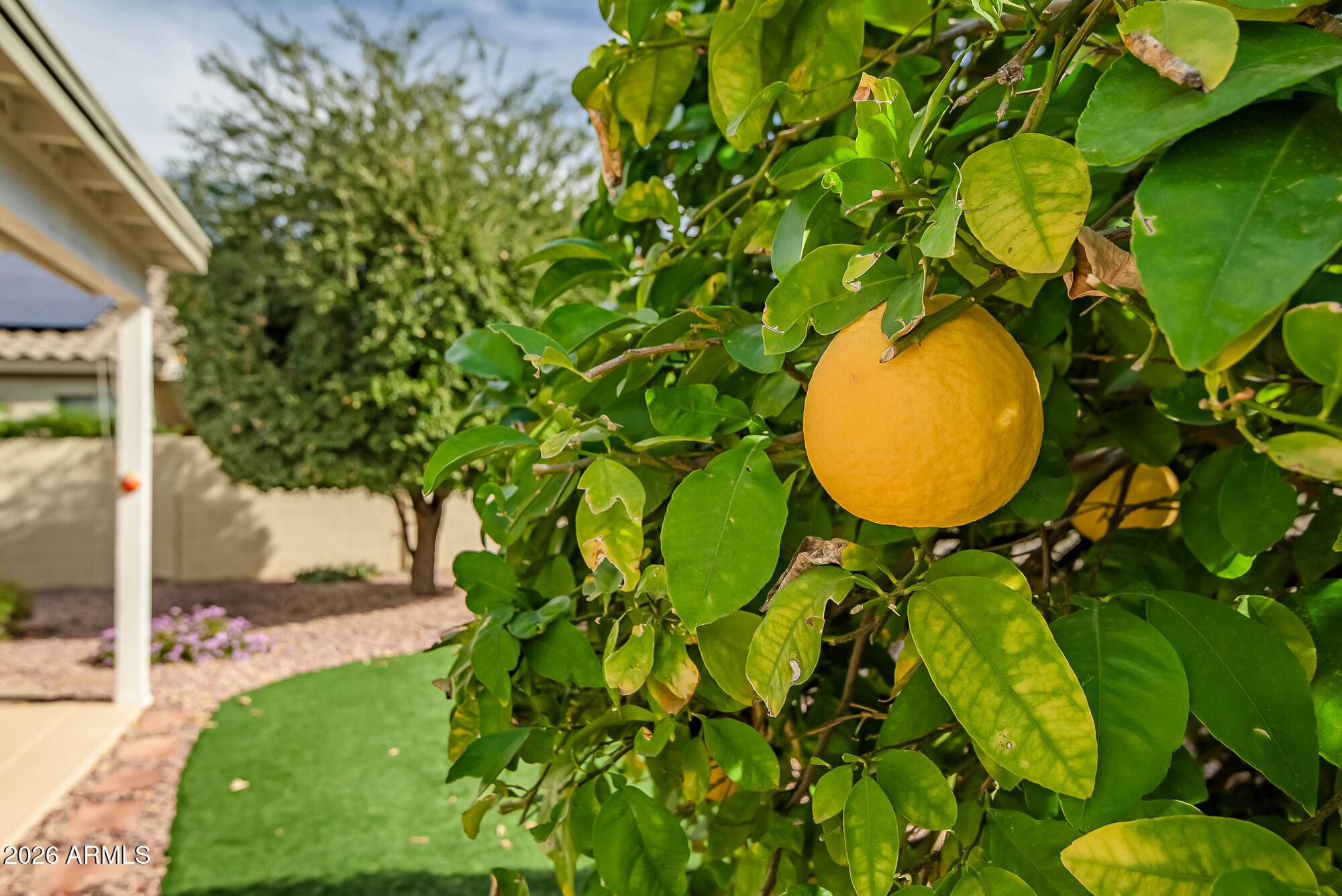 18145 W BUENA VISTA Drive