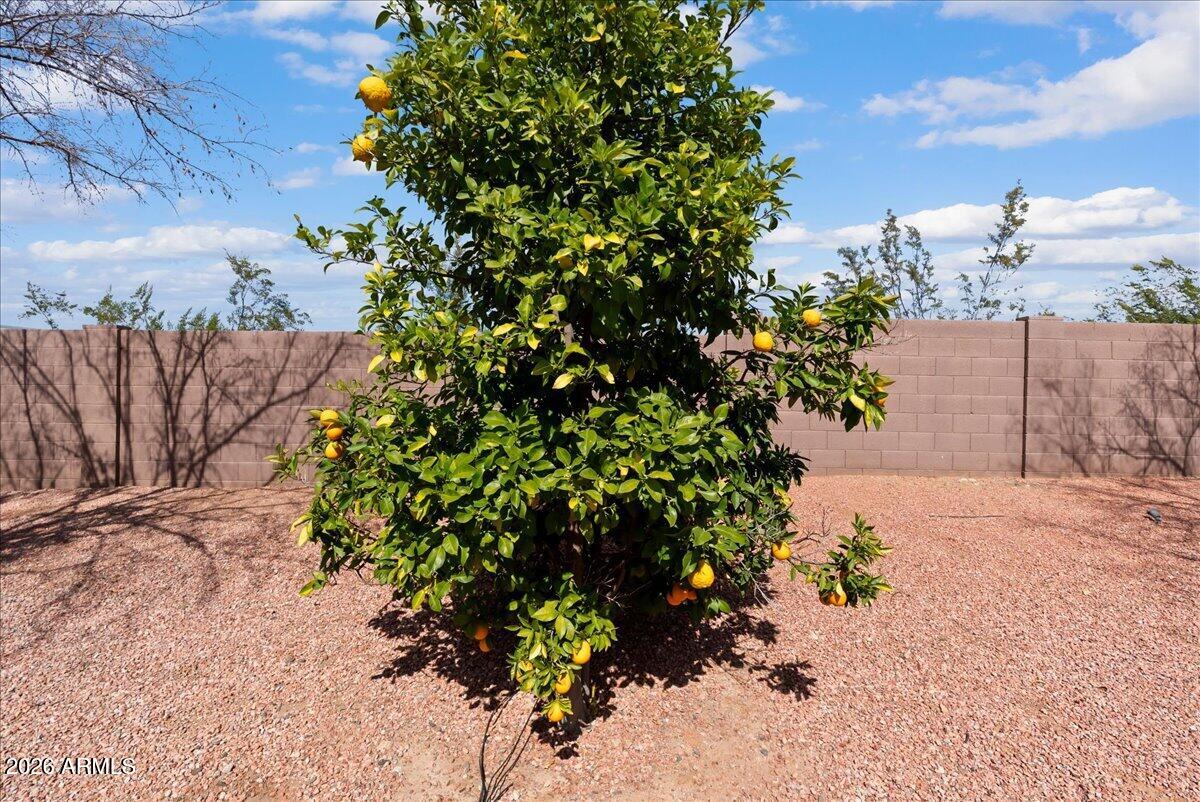 13002 W SAN JUAN Avenue