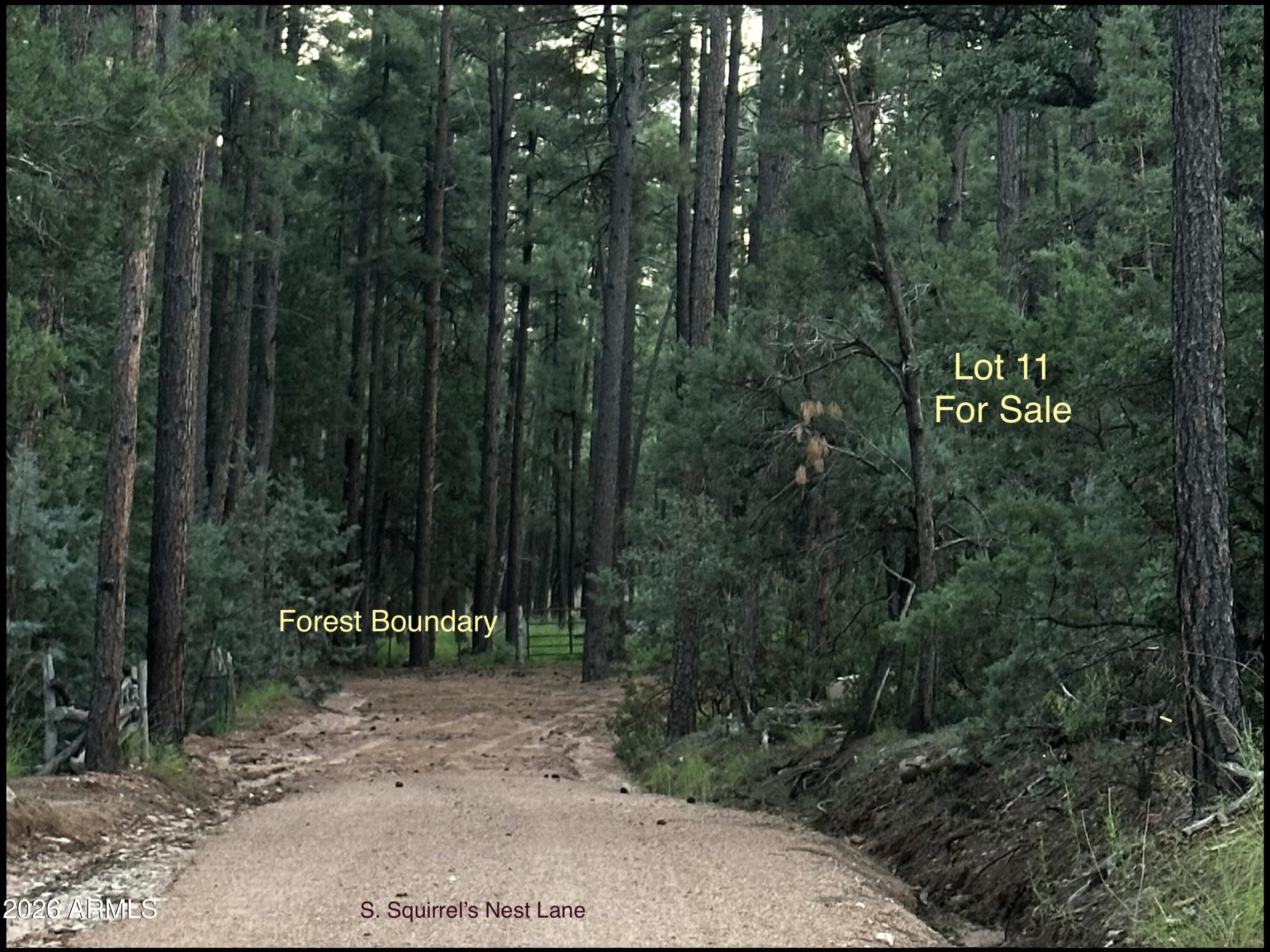 292 S Squirrels Nest Lane 11