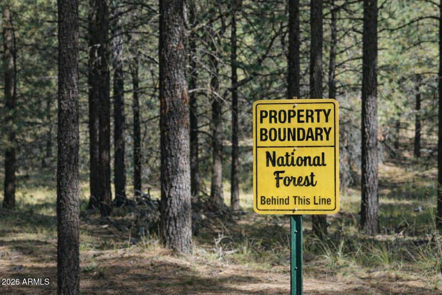 292 S Squirrels Nest Lane 11