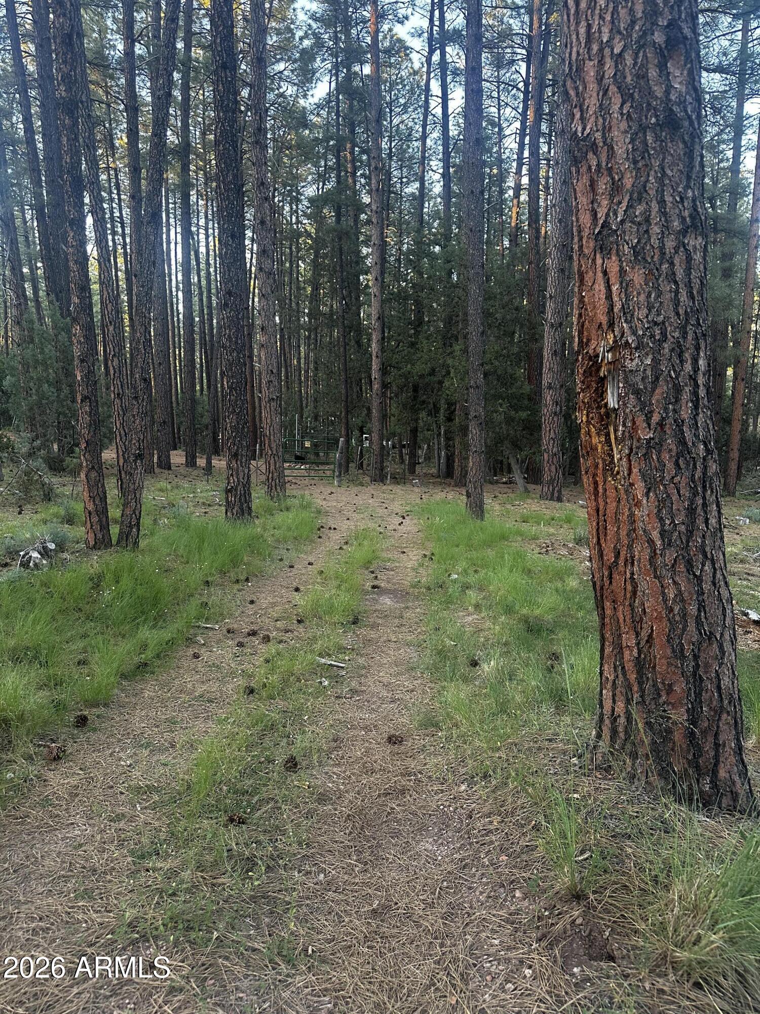 292 S Squirrels Nest Lane 11