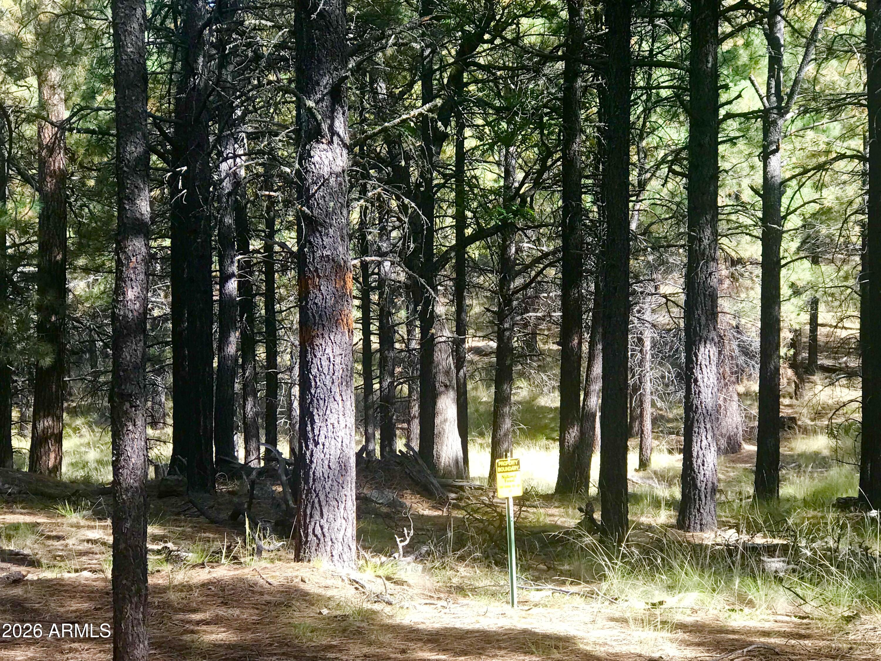 292 S Squirrels Nest Lane 11