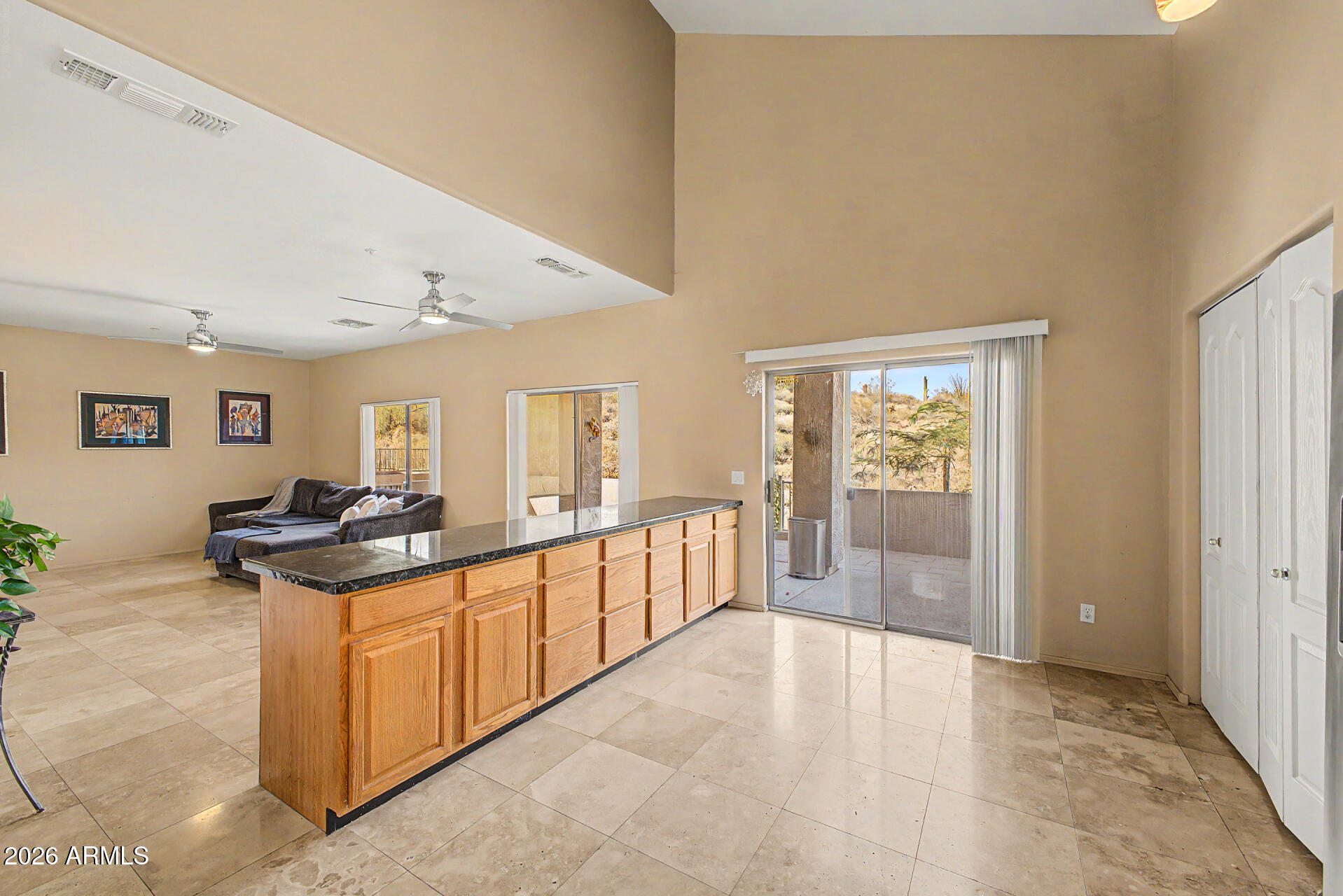 13423 N VISTA DEL LAGO