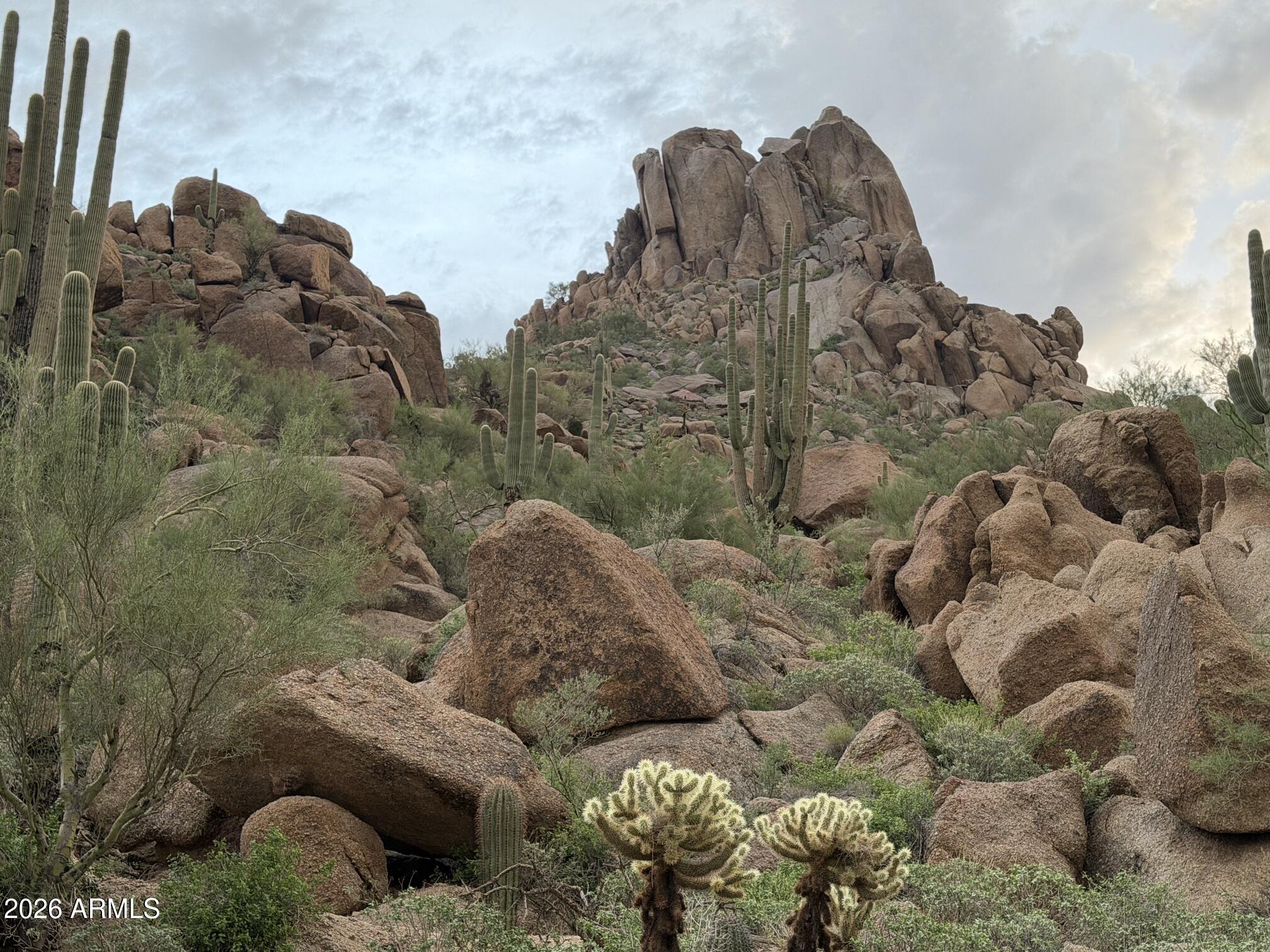 10231 E Saddle Horn Trail