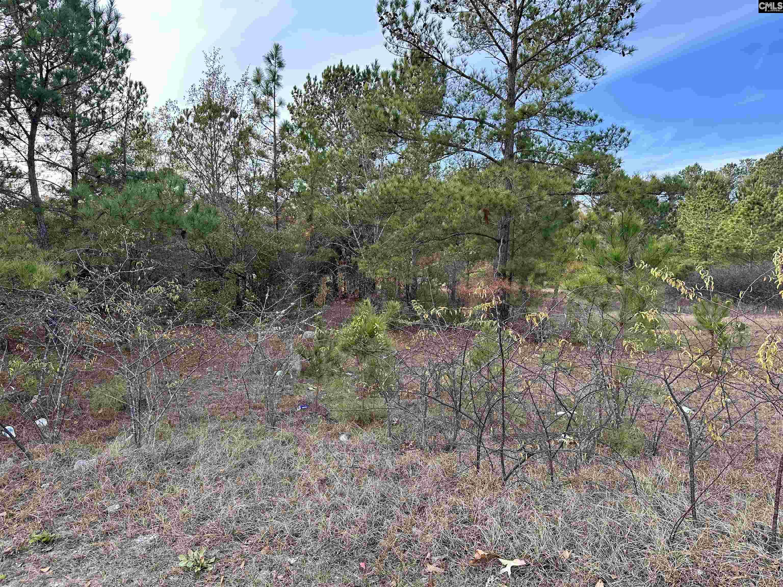 0 Emanuel Church Road