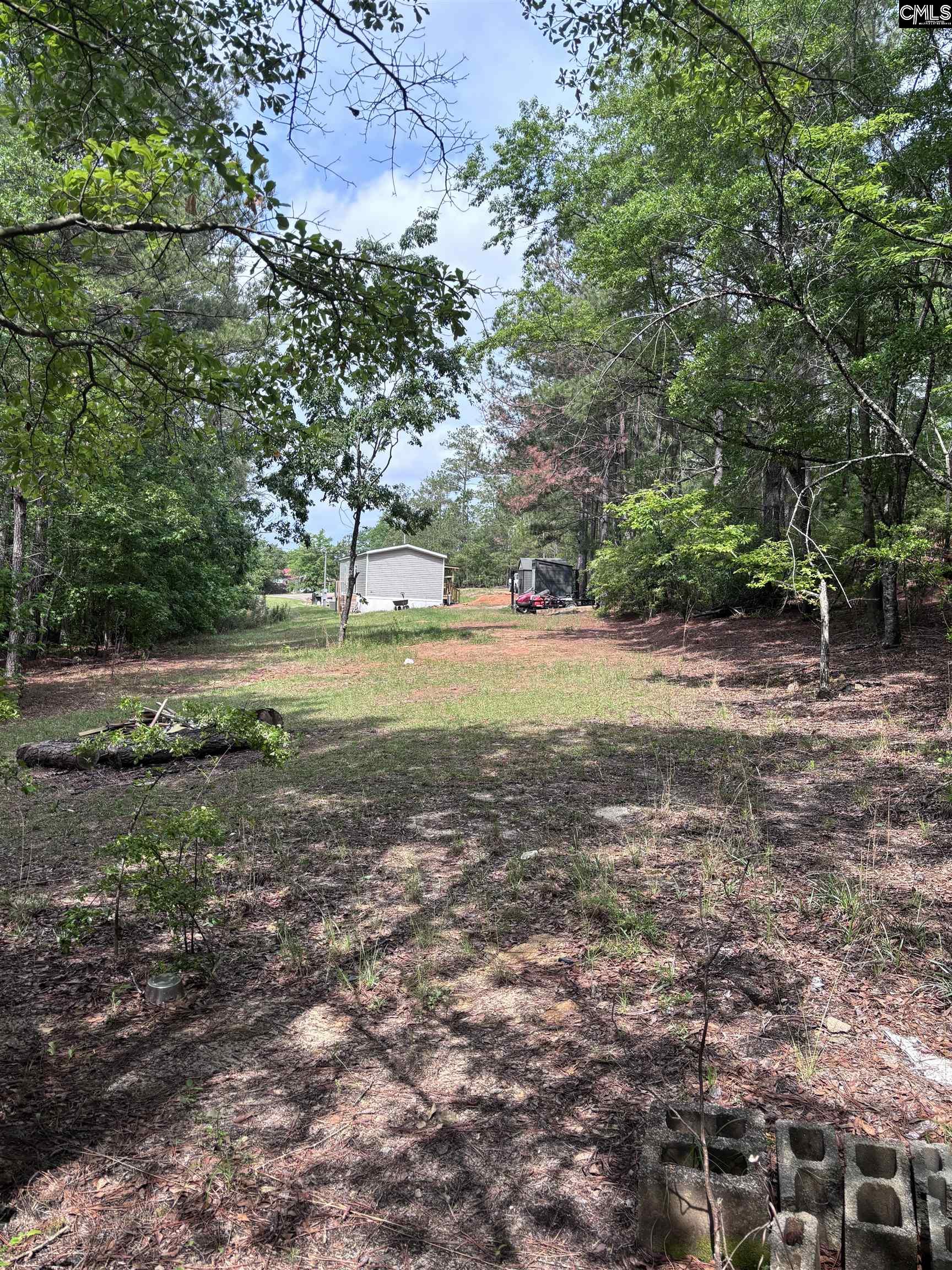 1436 Blue Johnson Road