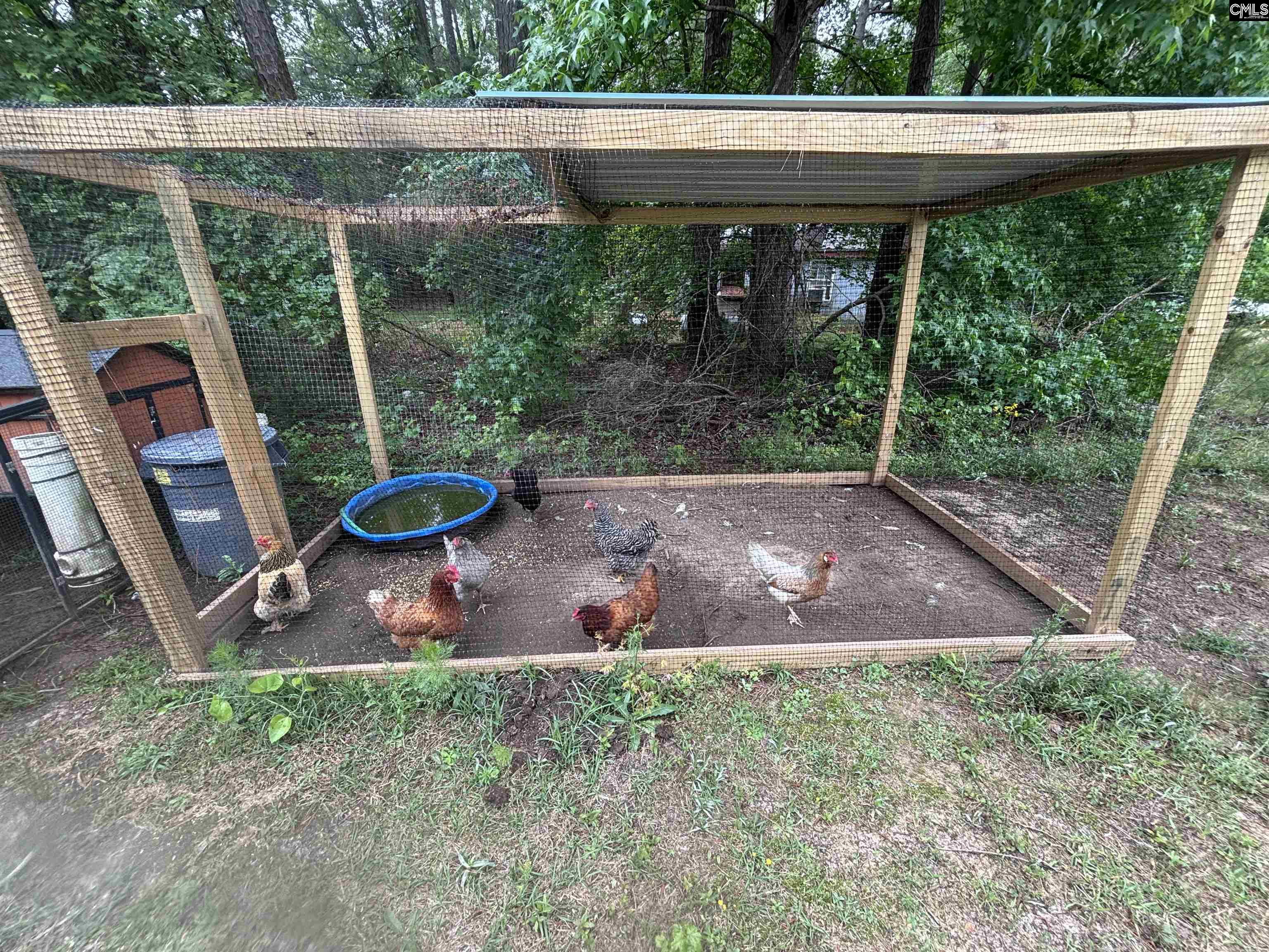 1436 Blue Johnson Road