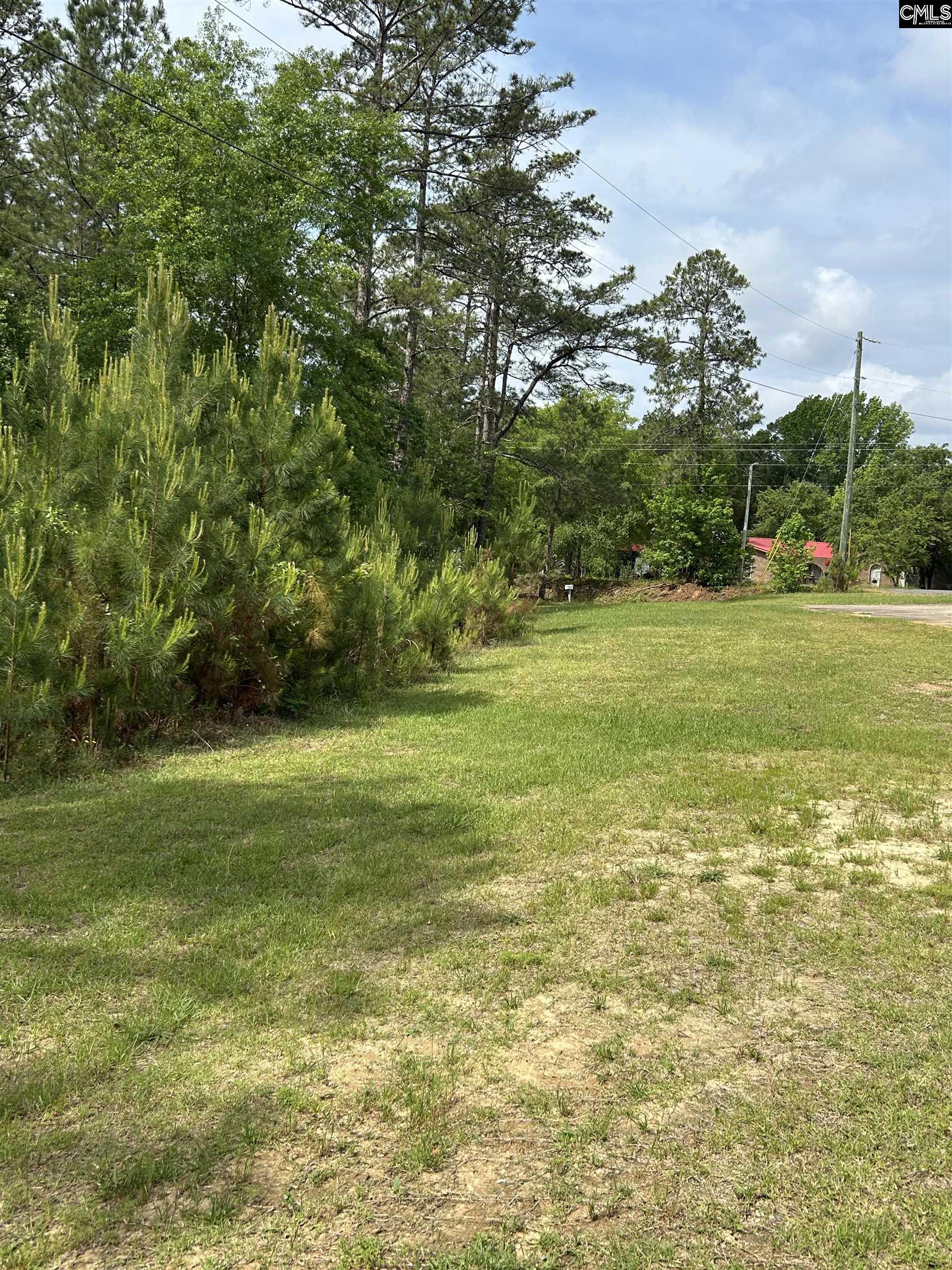 1436 Blue Johnson Road