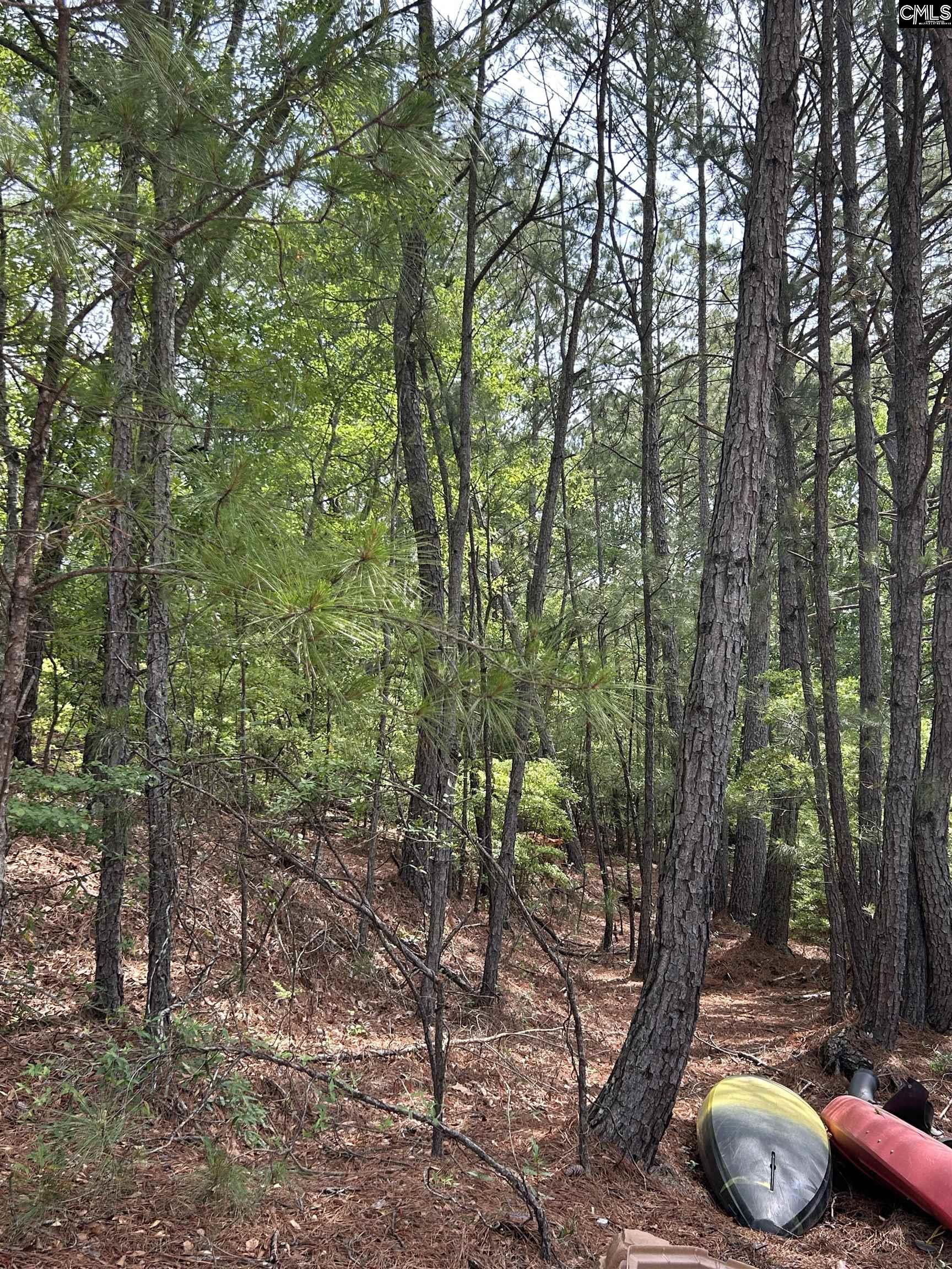 1436 Blue Johnson Road