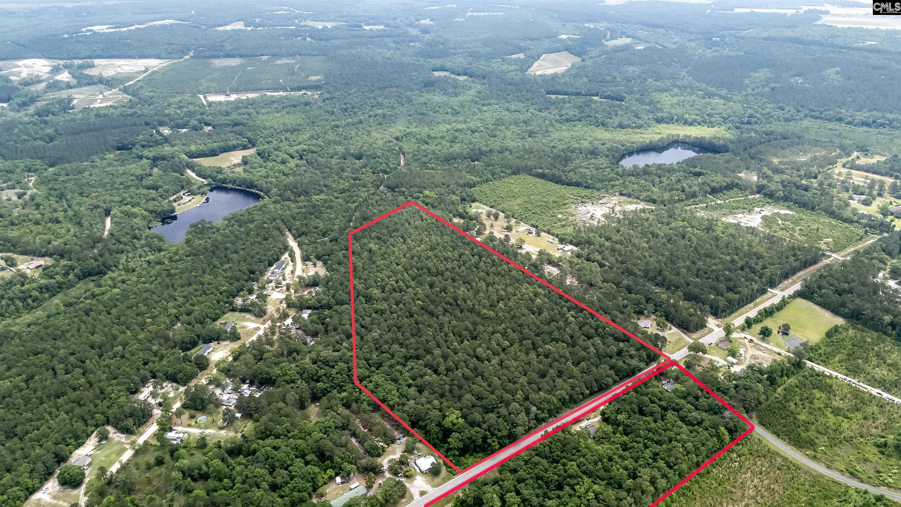Wooded land parcel outlined in red, with a road running between its two sections.