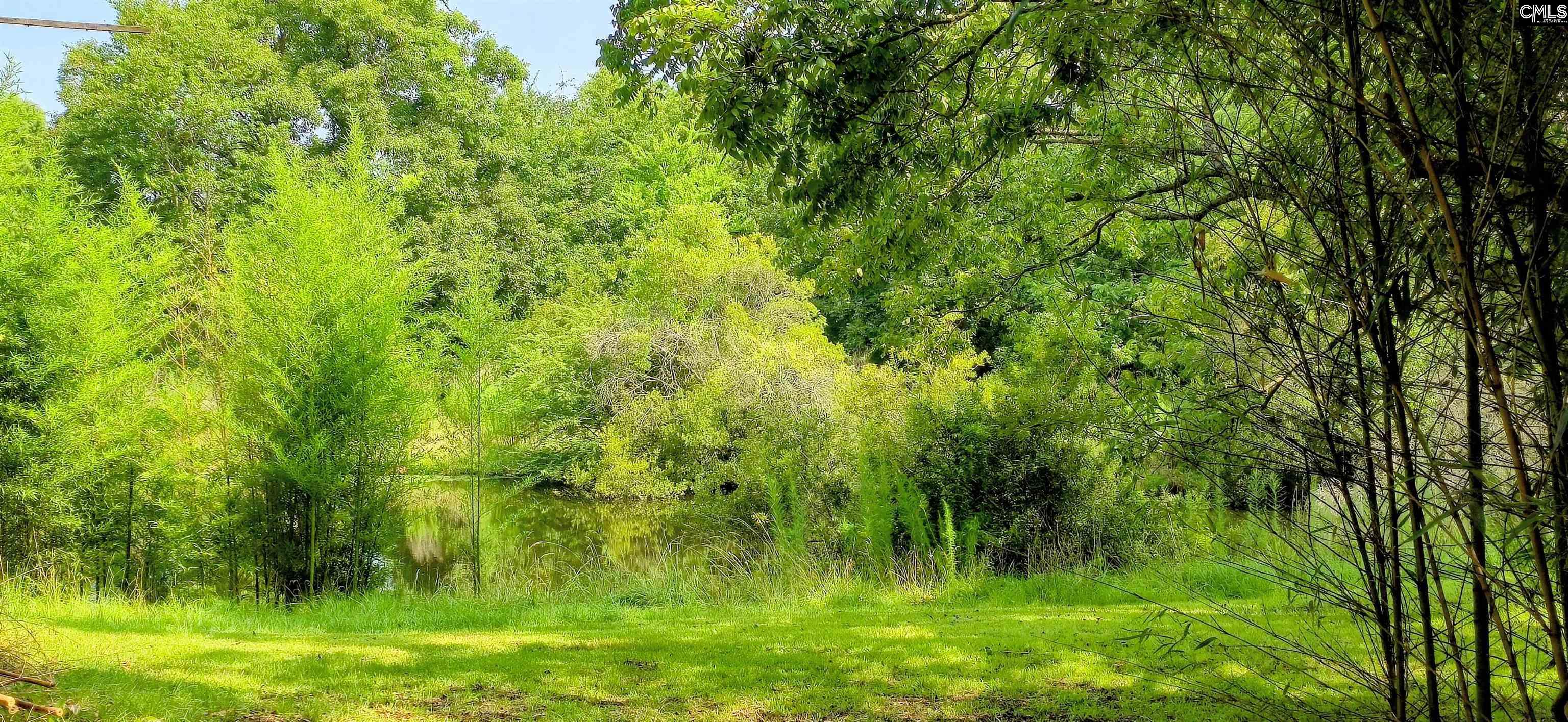 573 Ramblin Road