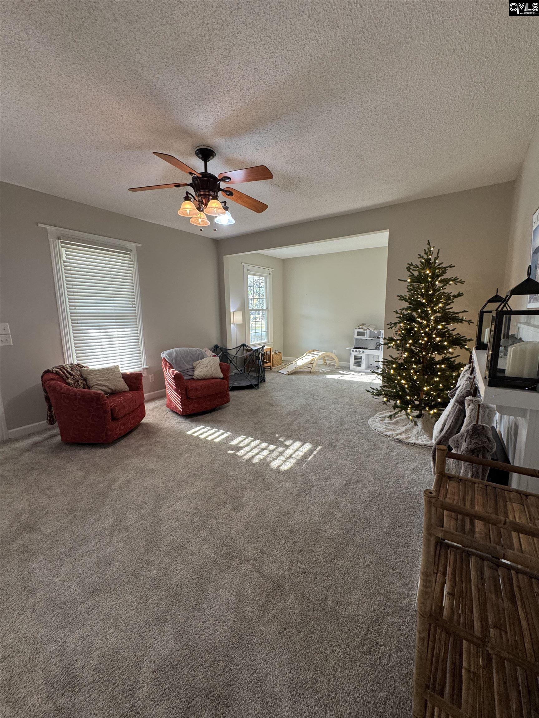 120 Old Chapin Road