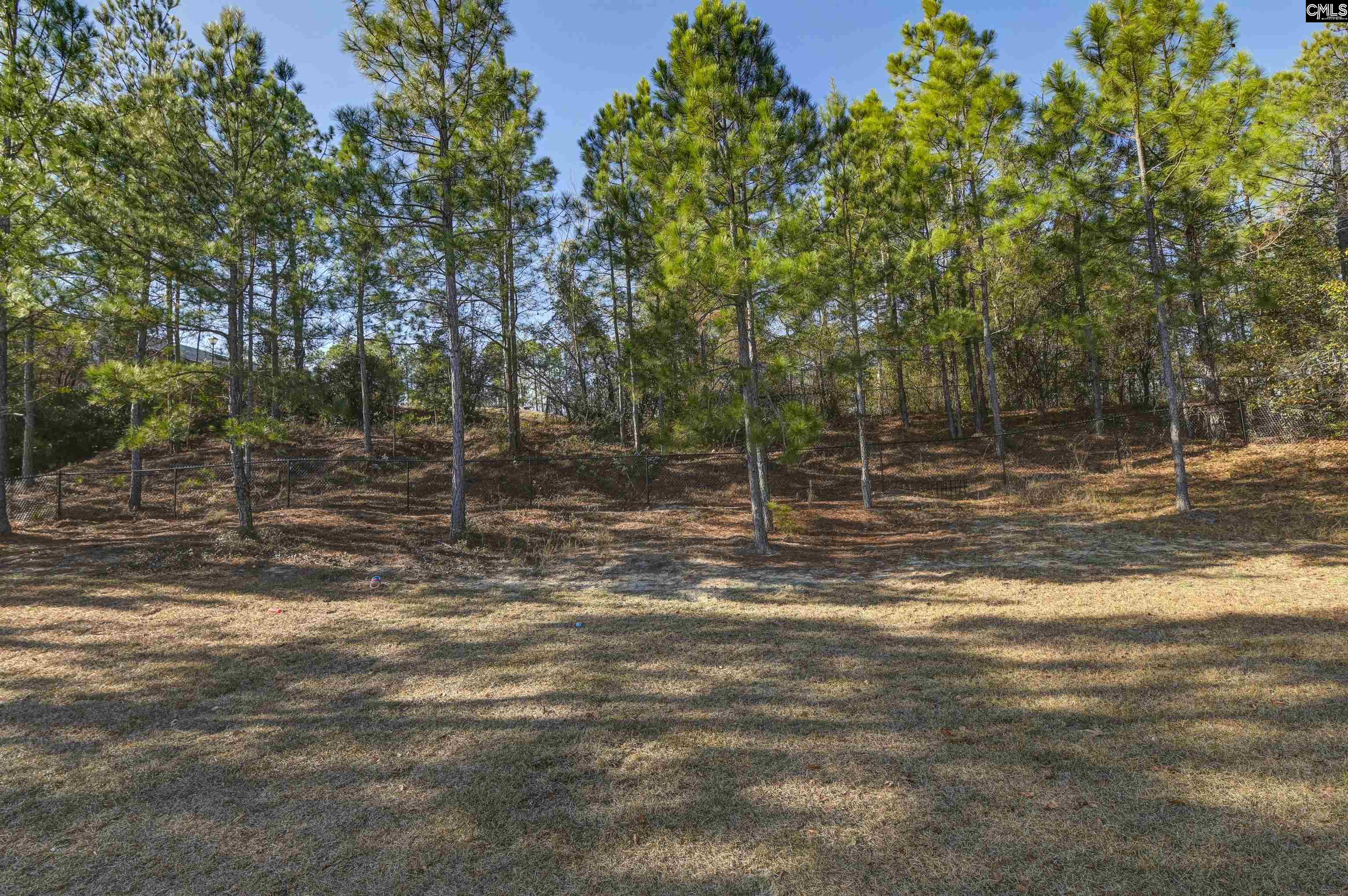 672 Old Orangeburg Road