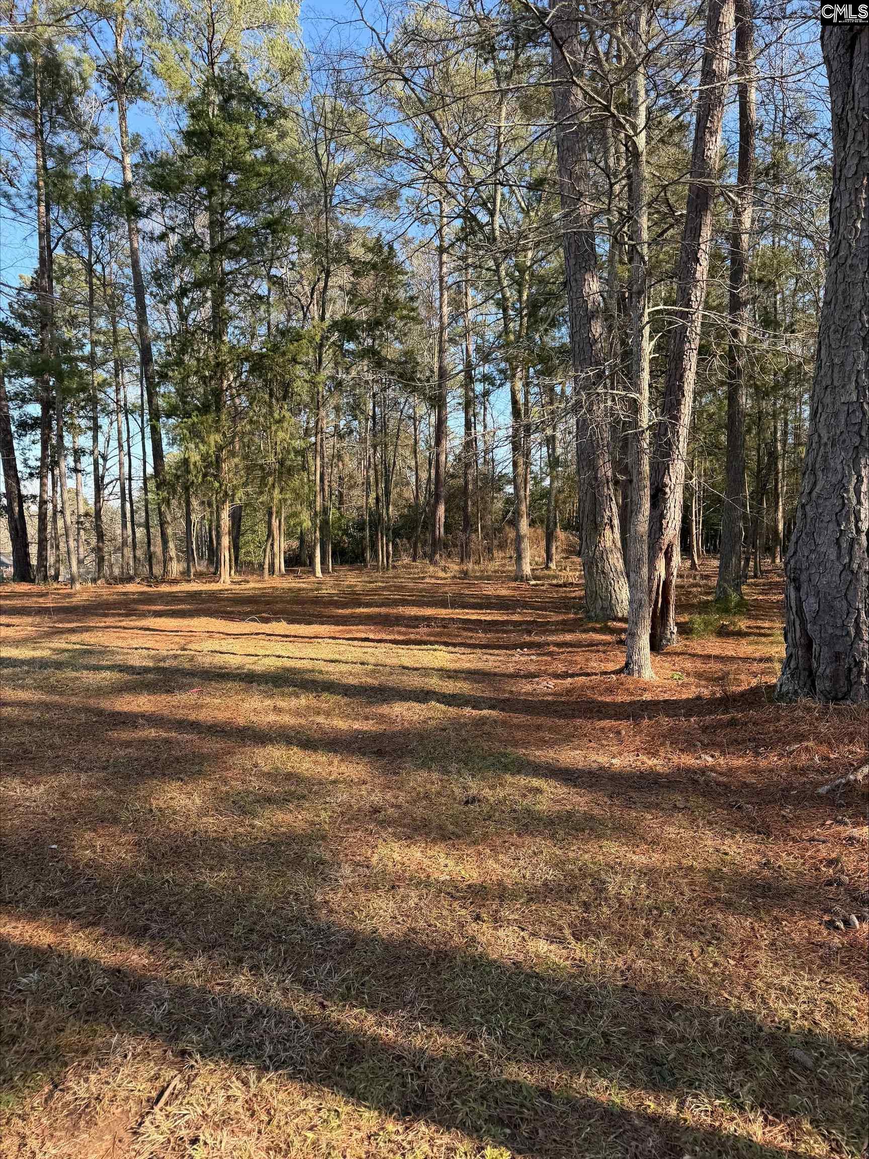 259 Gravel Road