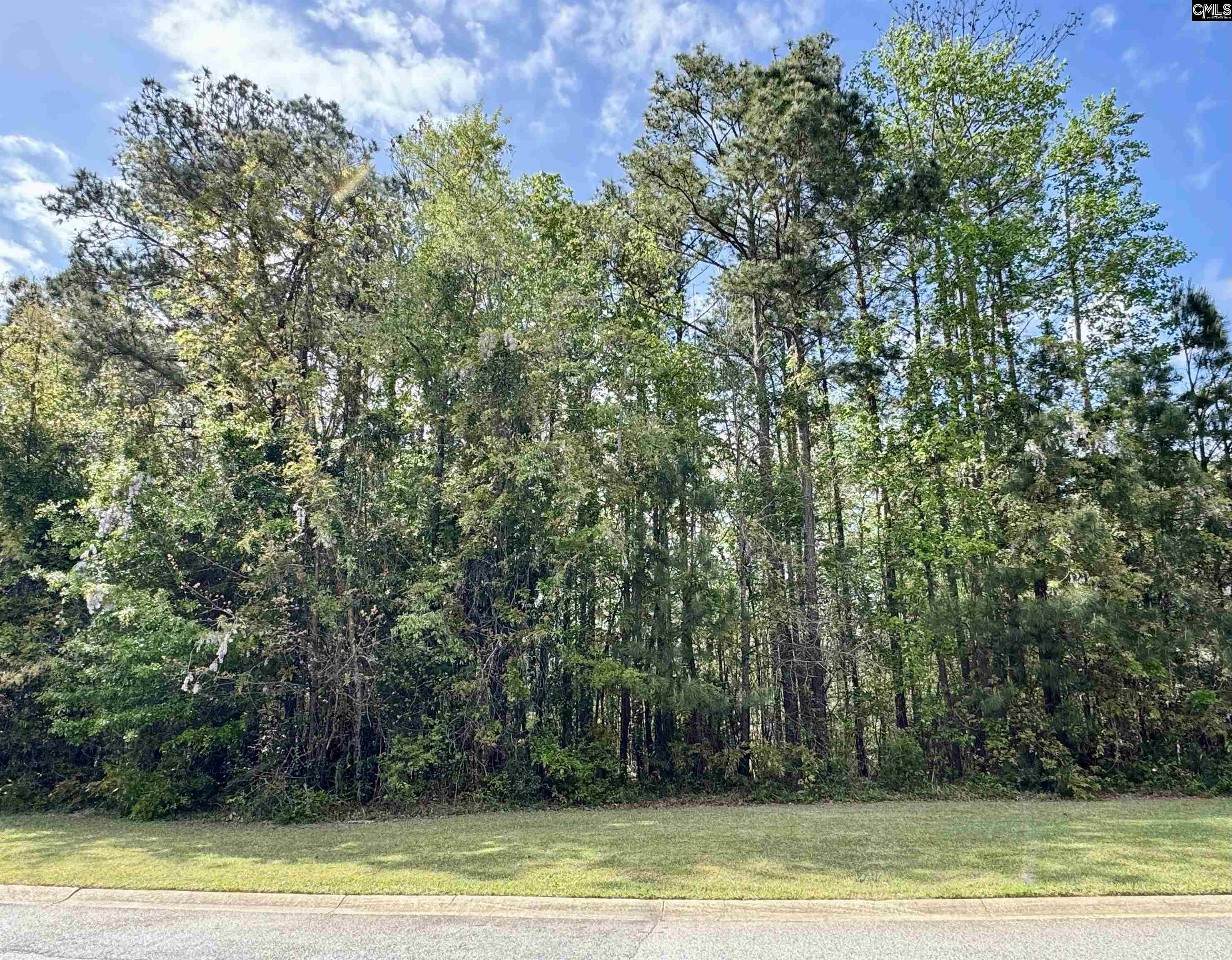 115 Hidden Lane Unit: 101