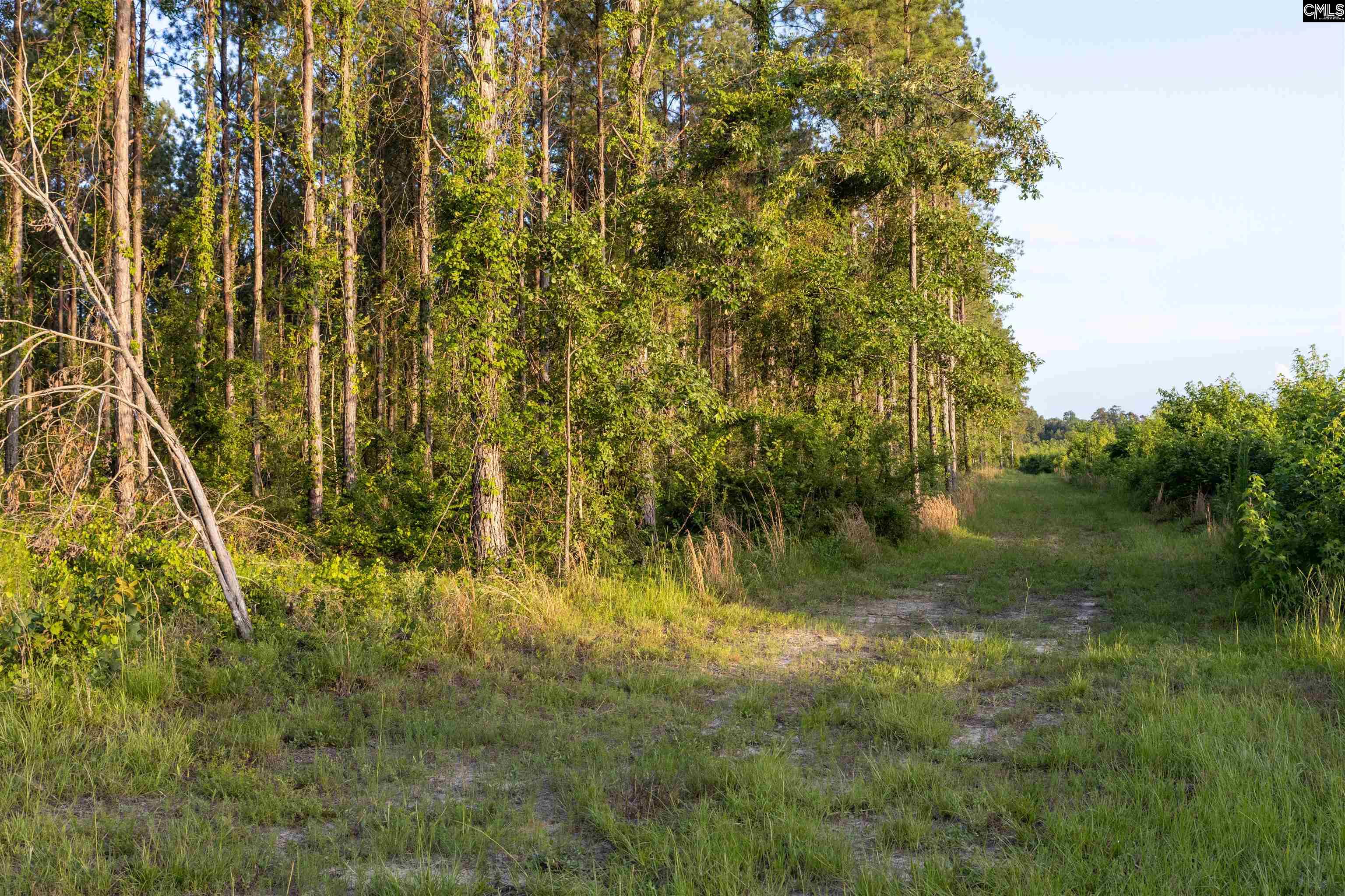 TBD Rizer Cemetary Road