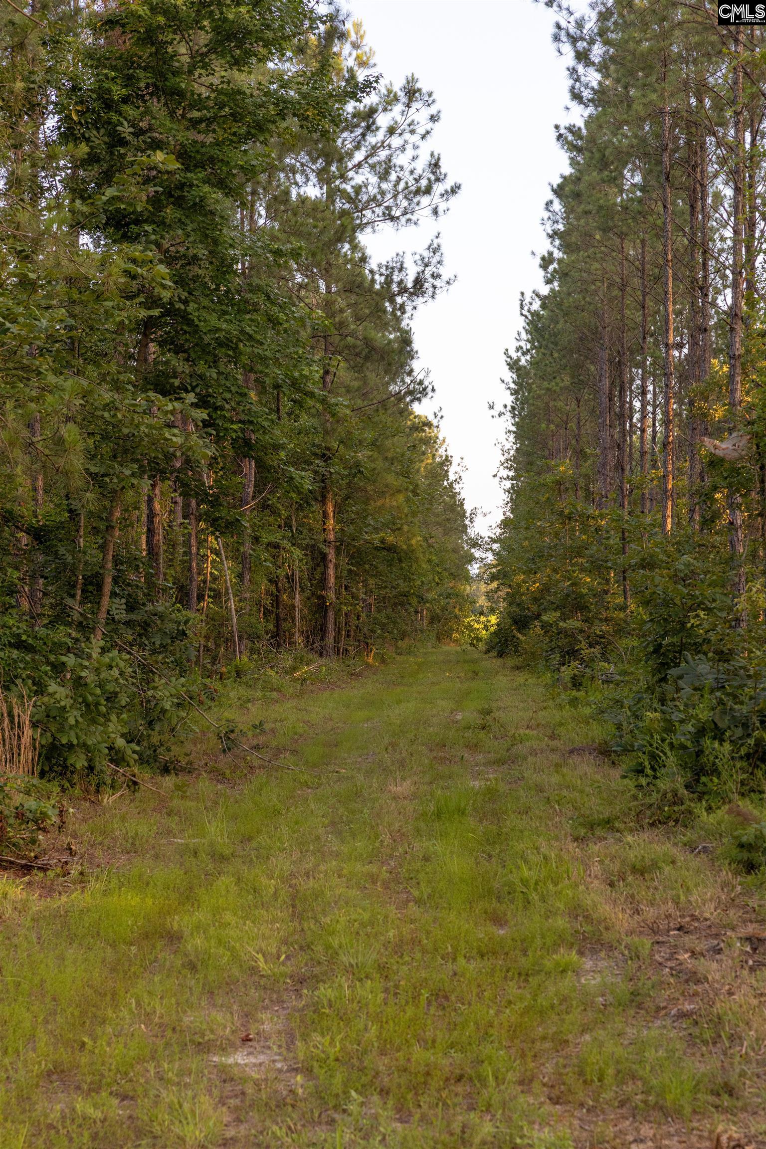 TBD Rizer Cemetary Road