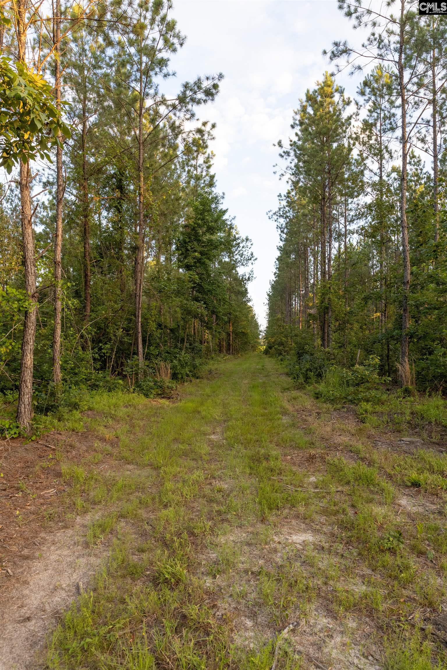 TBD Rizer Cemetary Road
