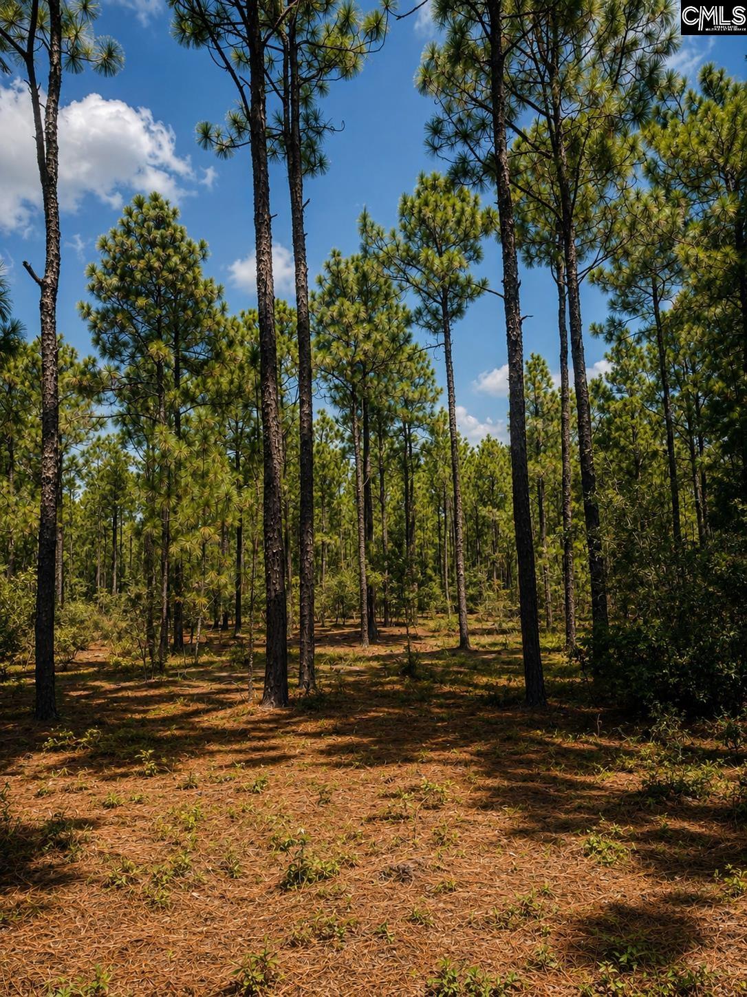 TBD Fairview Road Parcel 1