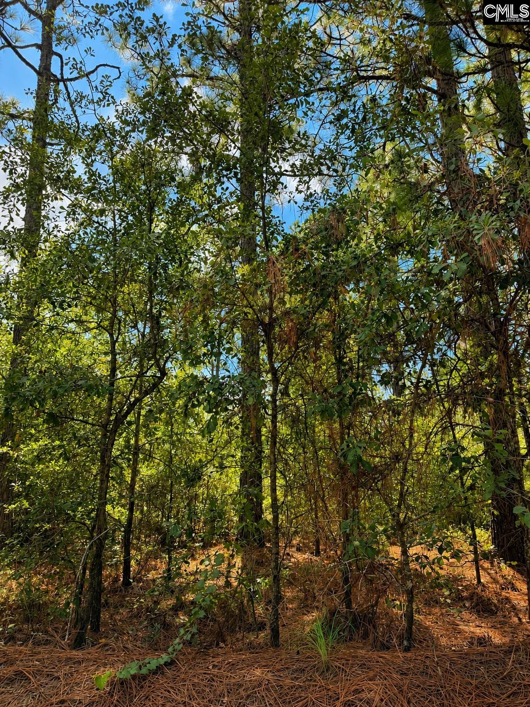 TBD Gantt Mill Road Parcel 2