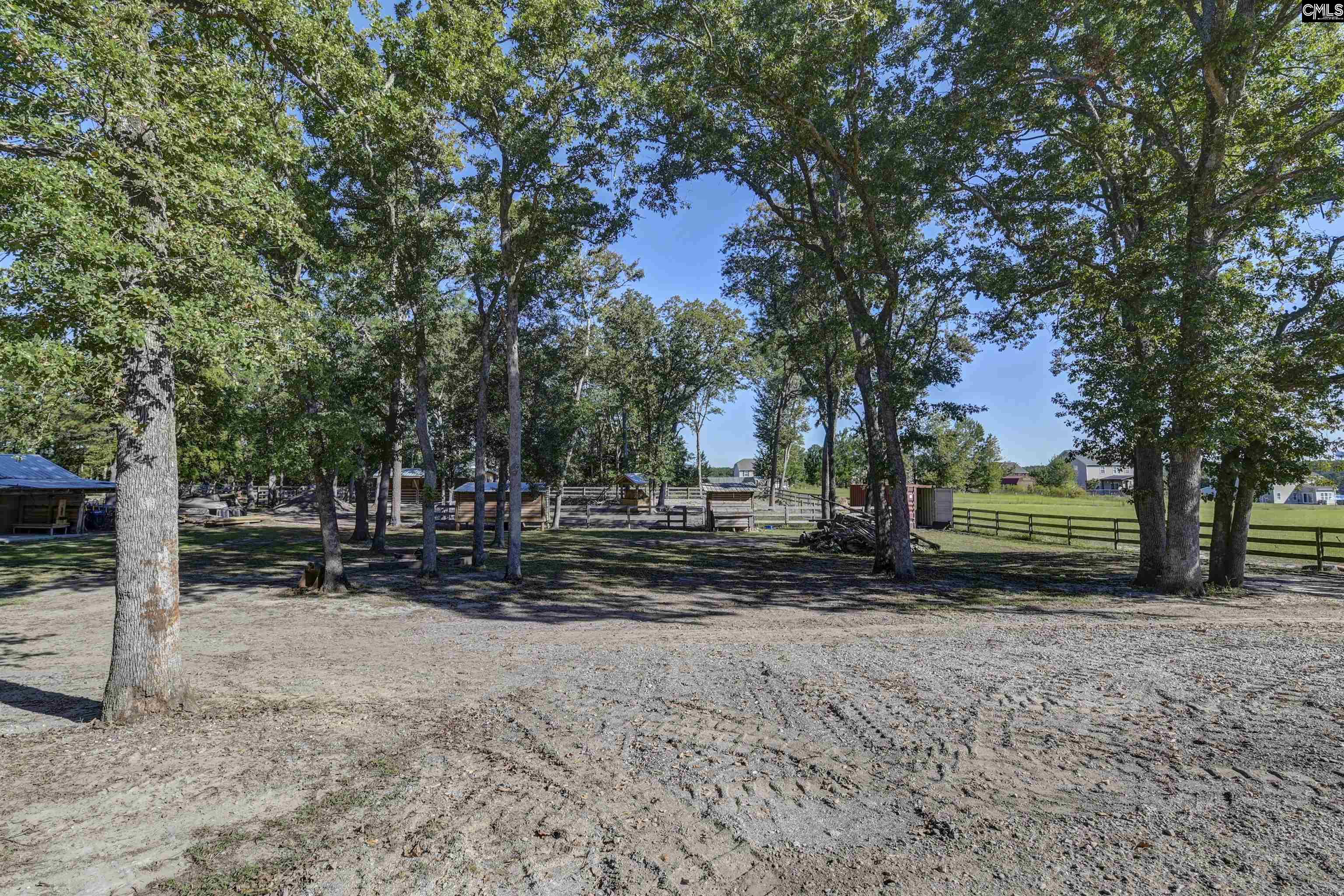 1055 Belo Road