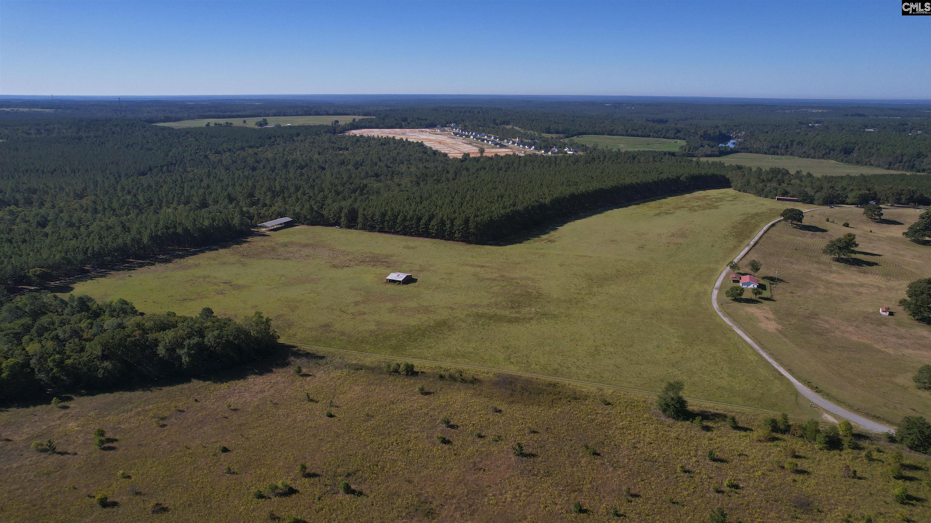 156 Big Sandy Drive Pelion SC