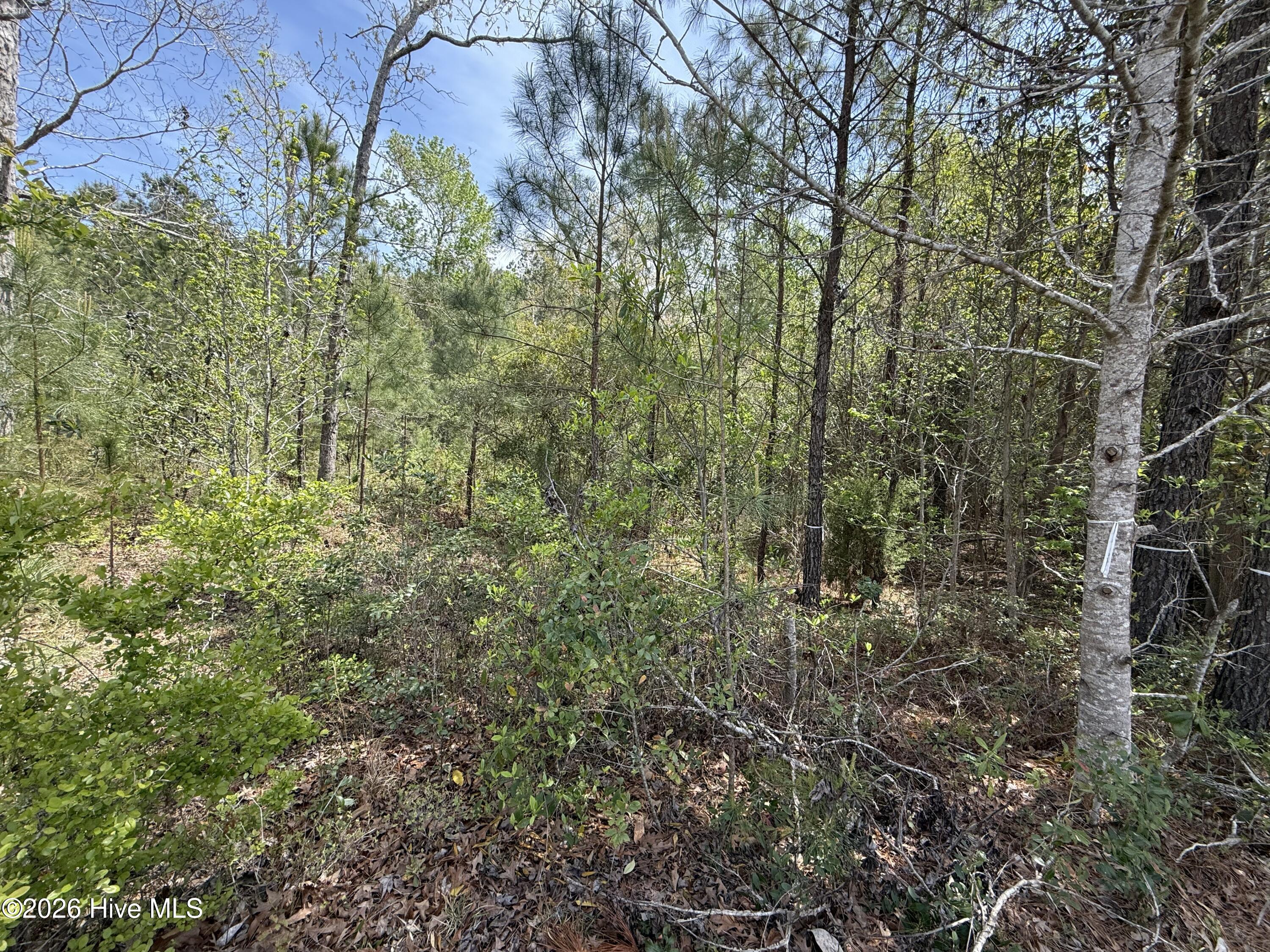 2981 29 Lyndhurst Terrace SW