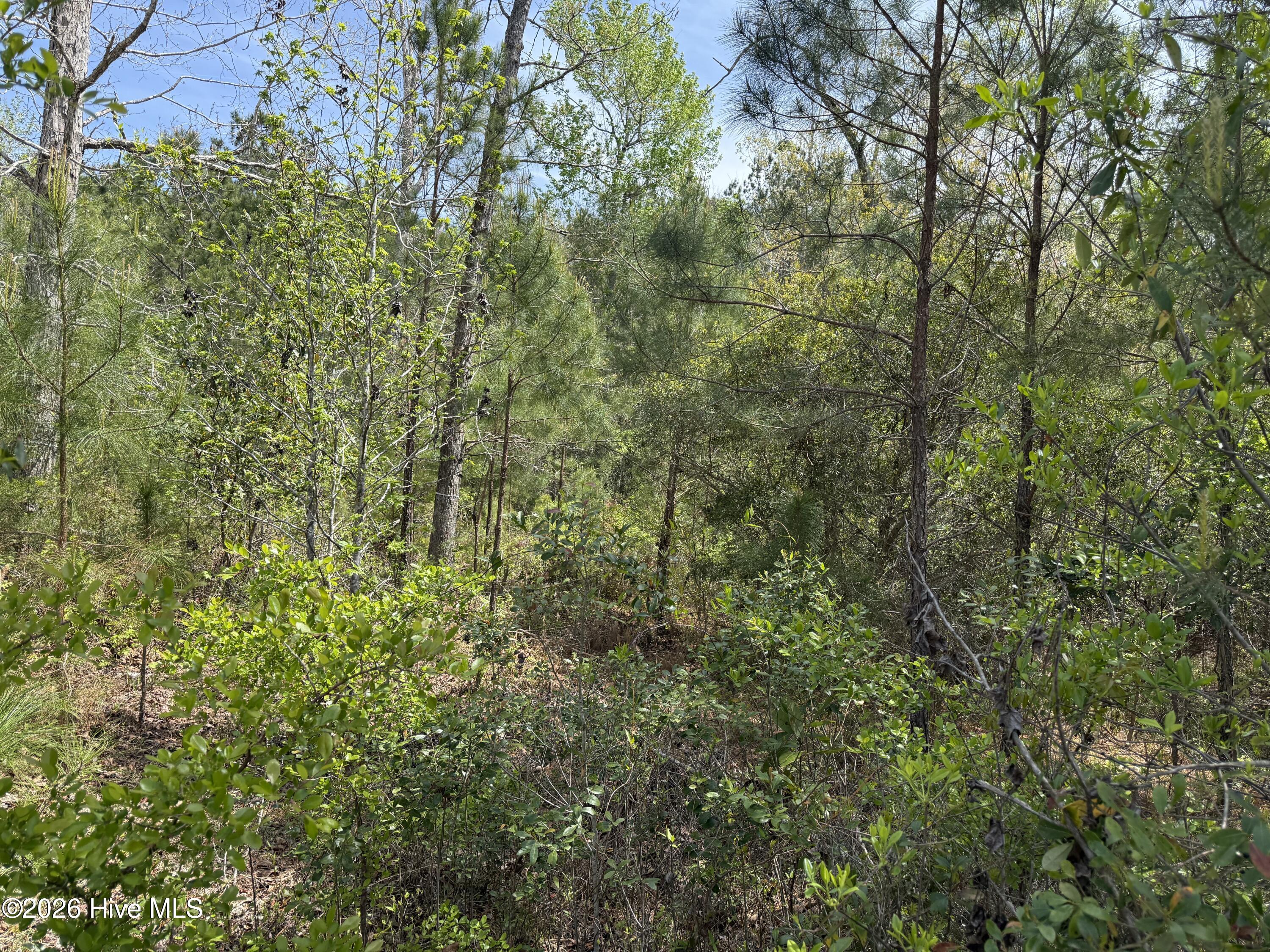 2981 29 Lyndhurst Terrace SW