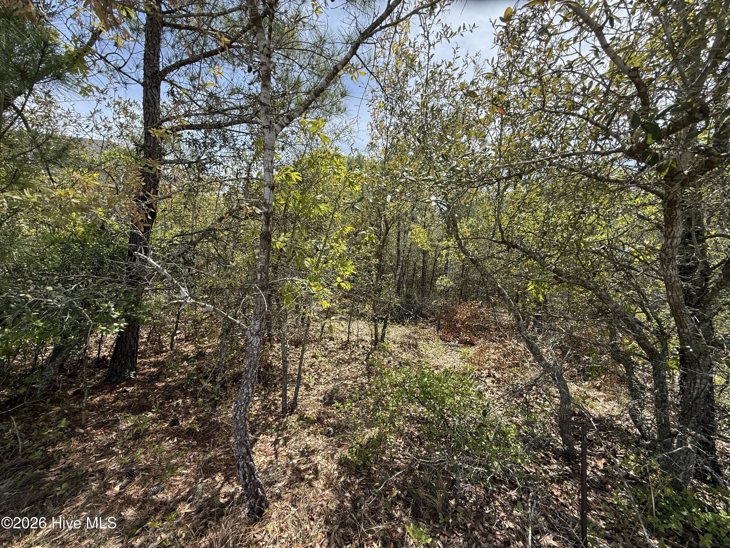 3031 42 Old Berwick Street SW