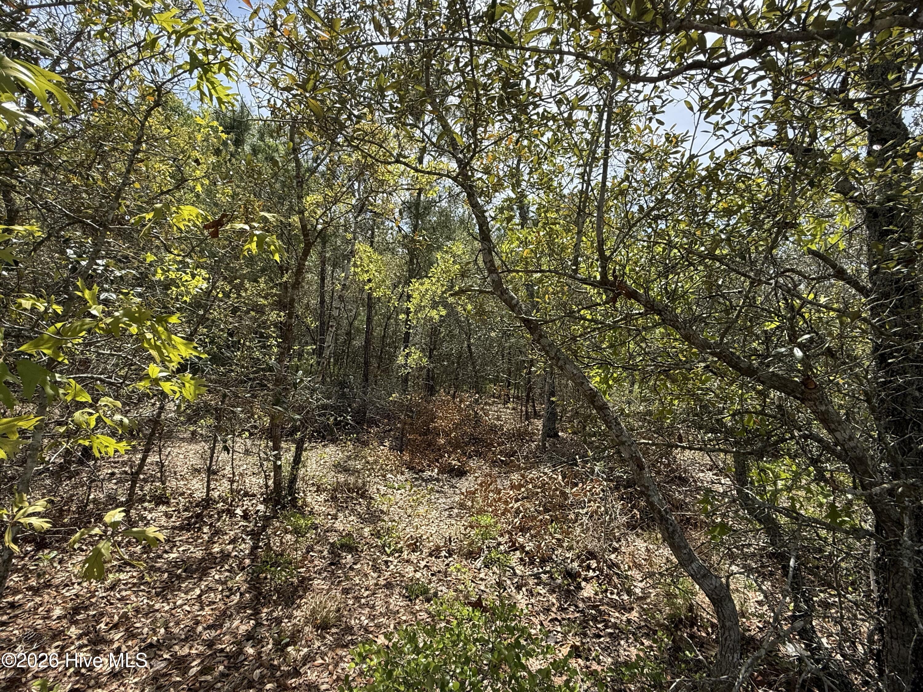 3031 42 Old Berwick Street SW