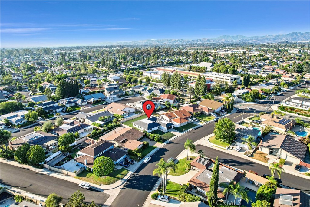 24421 Spartan Street