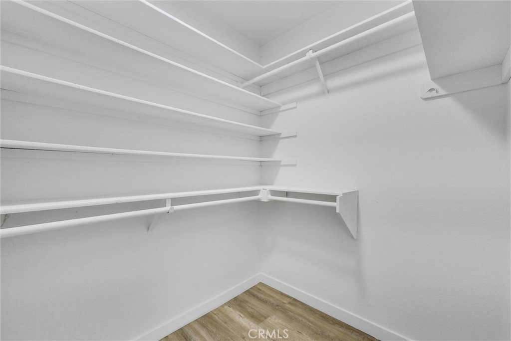 24421 Spartan Street