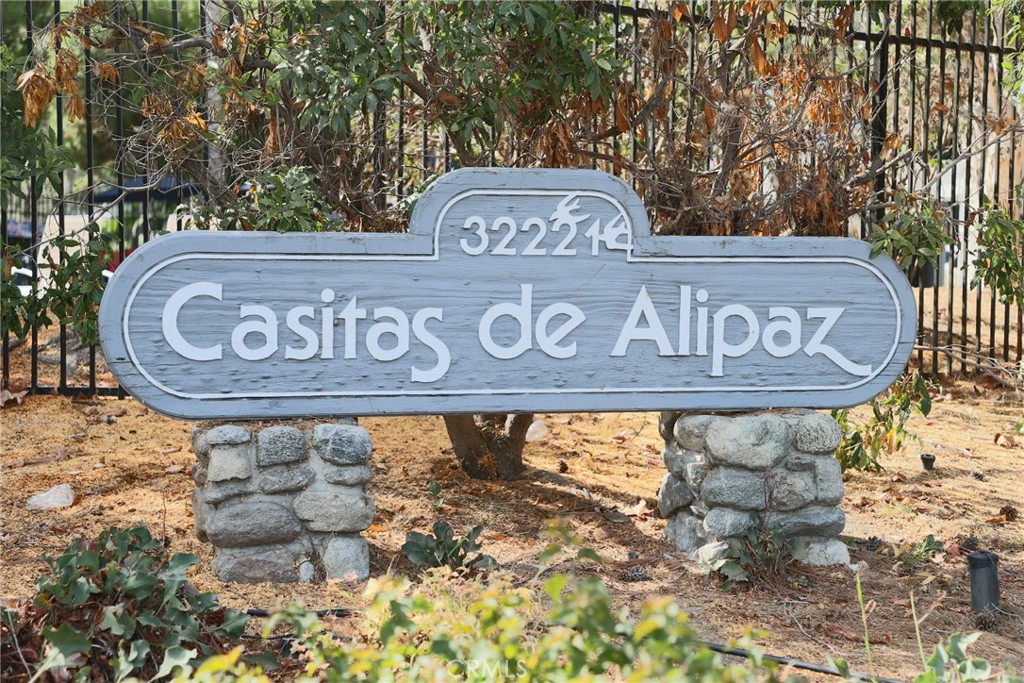 32221 Alipaz