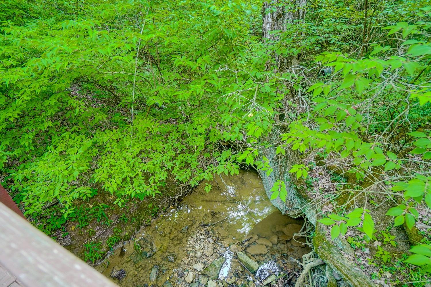 8162 Chestershire Drive