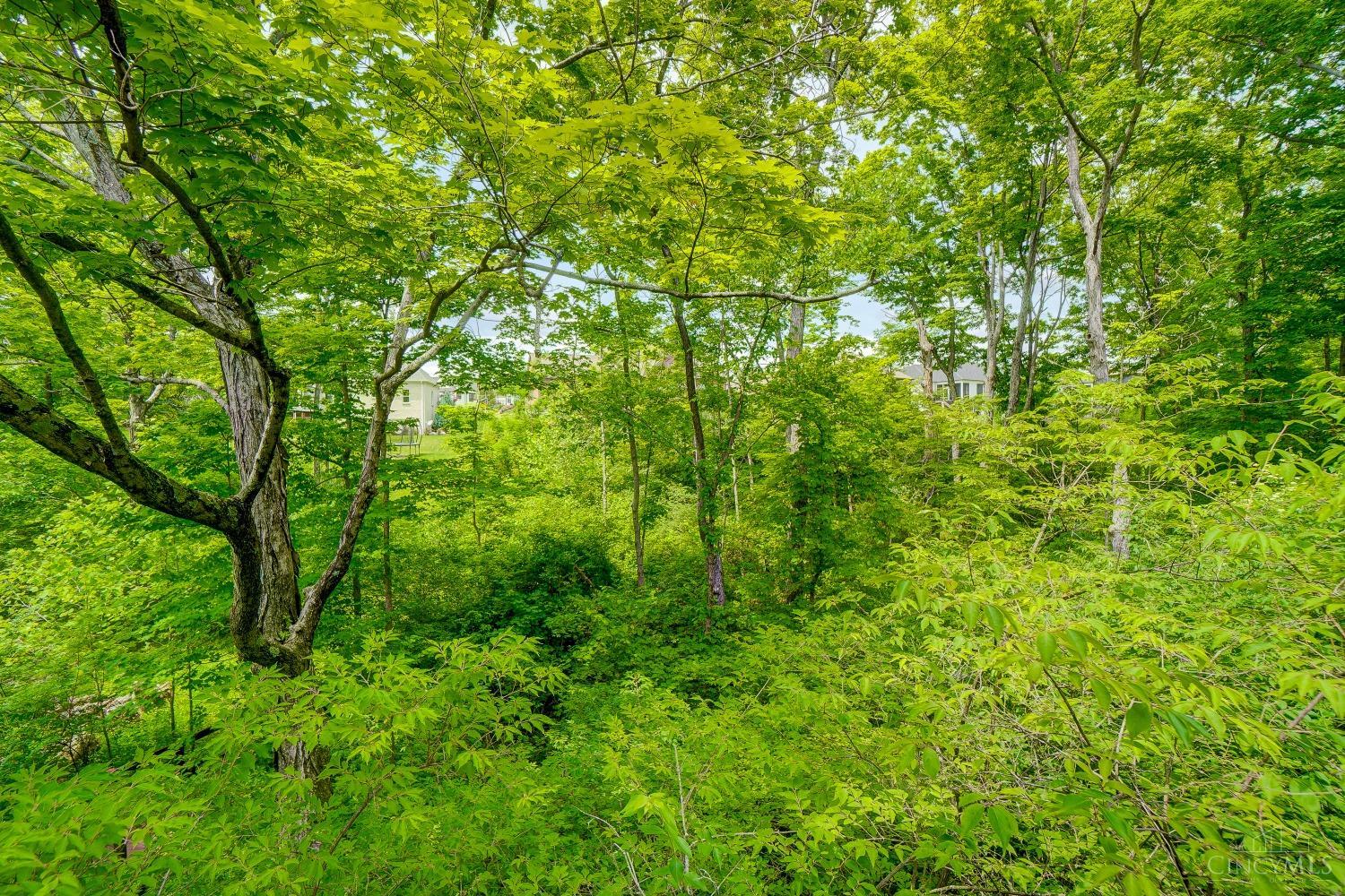 8162 Chestershire Drive