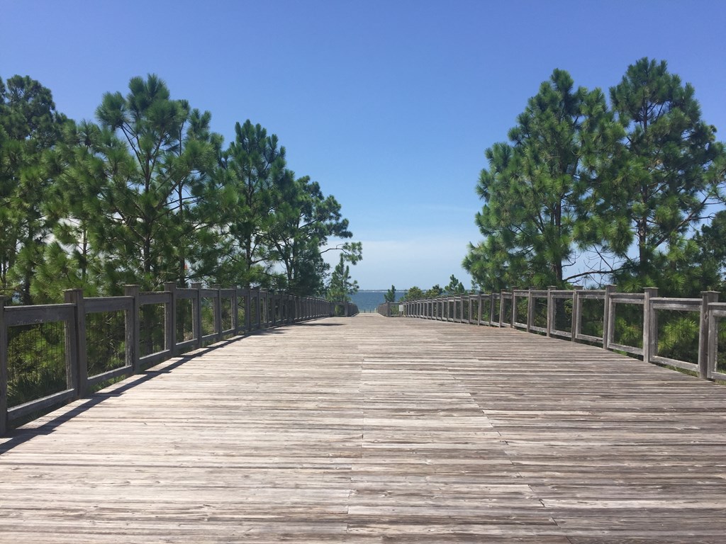 165 Vermilion Cir, Port St. Joe 32456