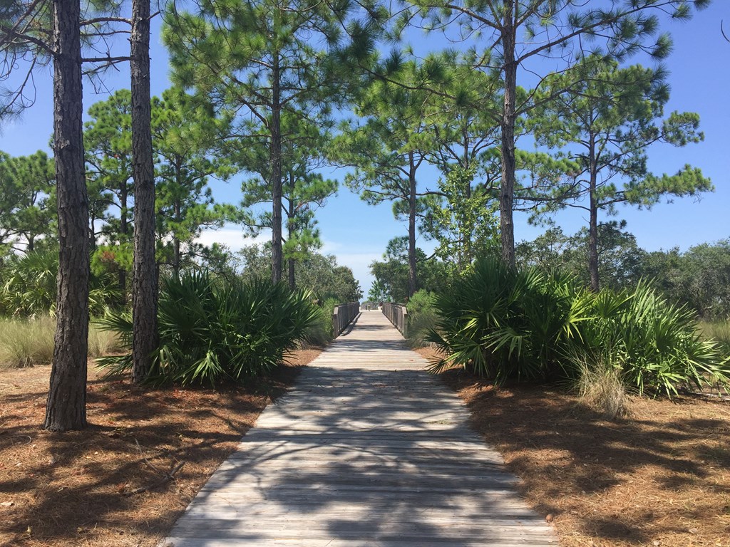 165 Vermilion Cir, Port St. Joe 32456