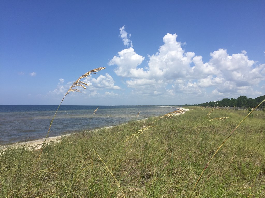 165 Vermilion Cir, Port St. Joe 32456
