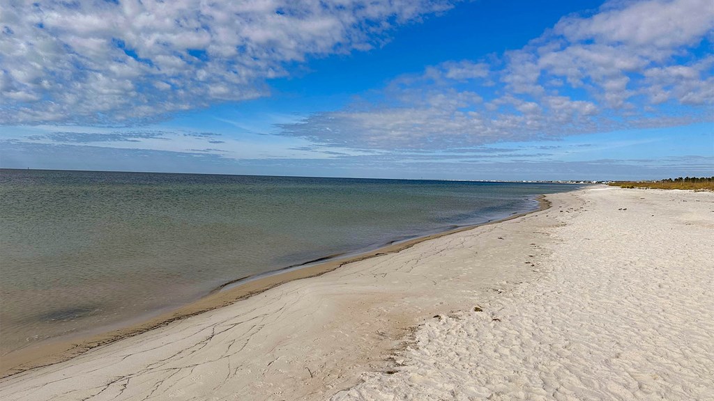 329 Vermilion Cir, Port St. Joe 32456
