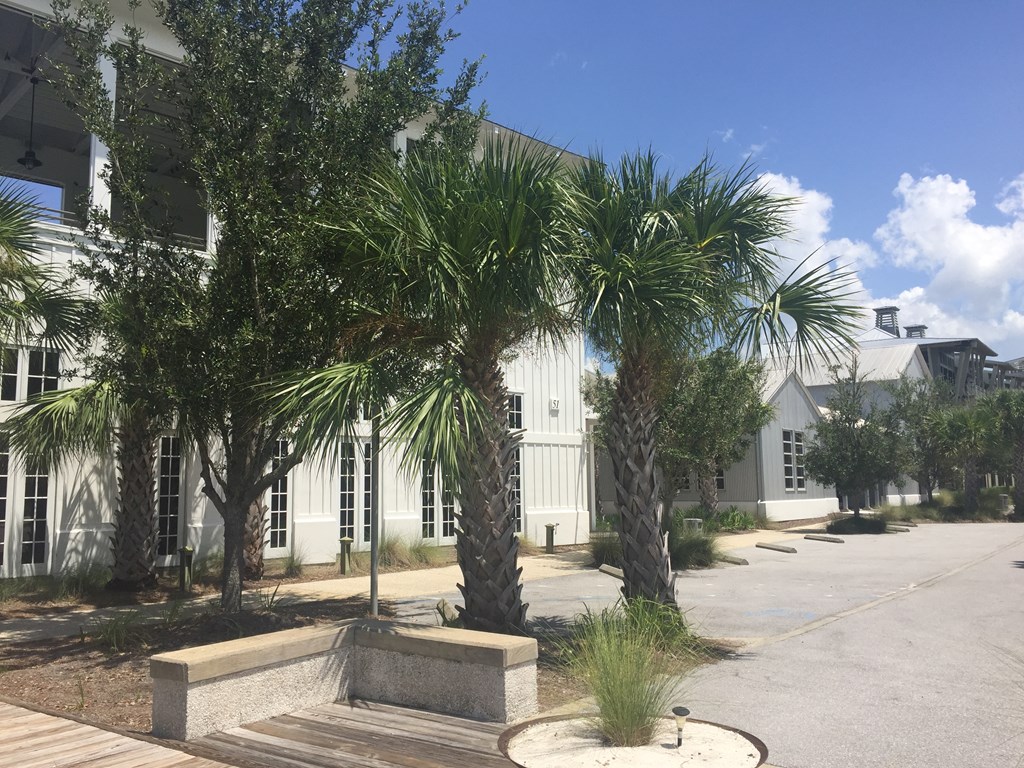 341 Vermilion Cir, Port St. Joe 32456